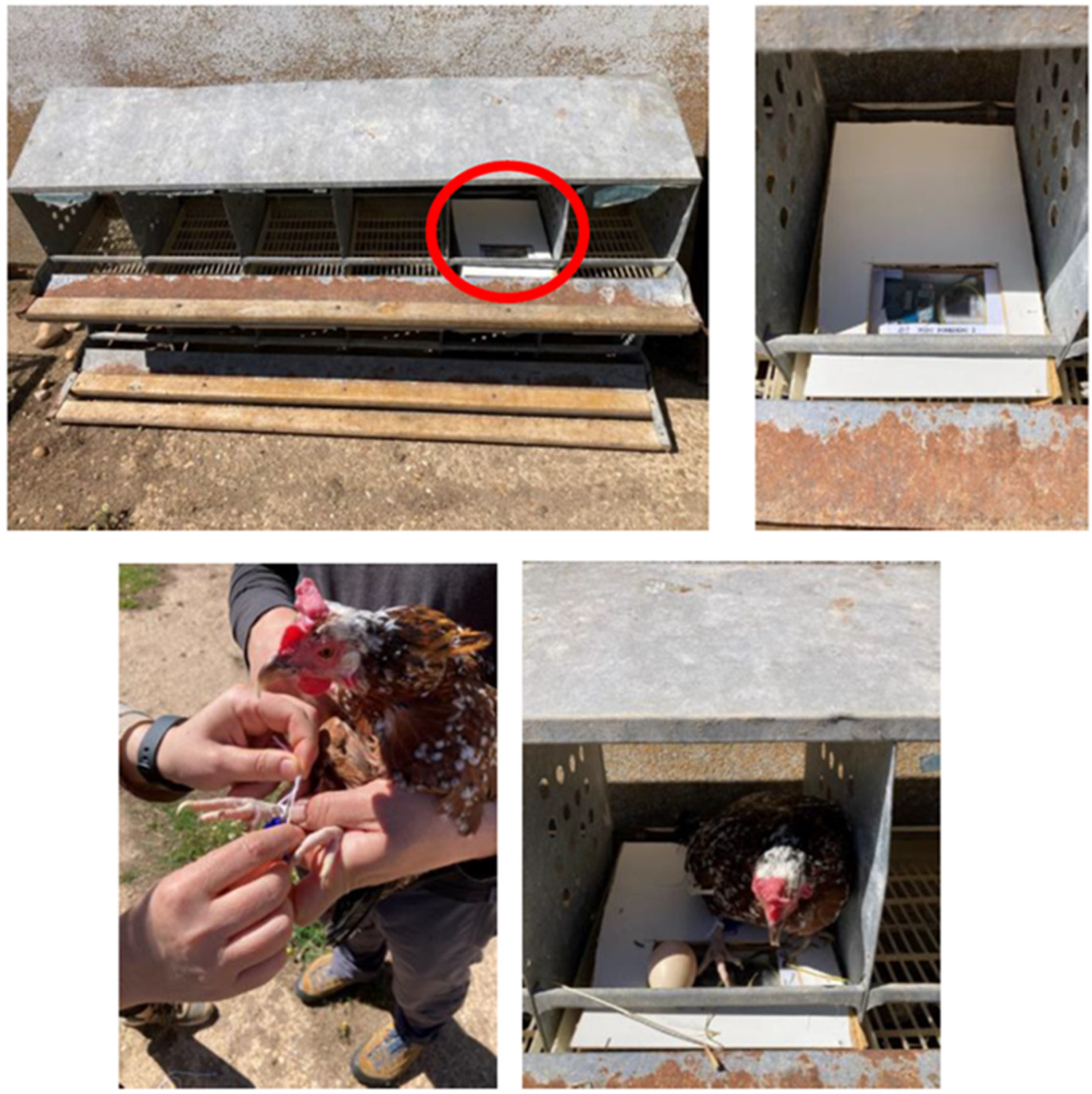 Applsci 15 04856 g007