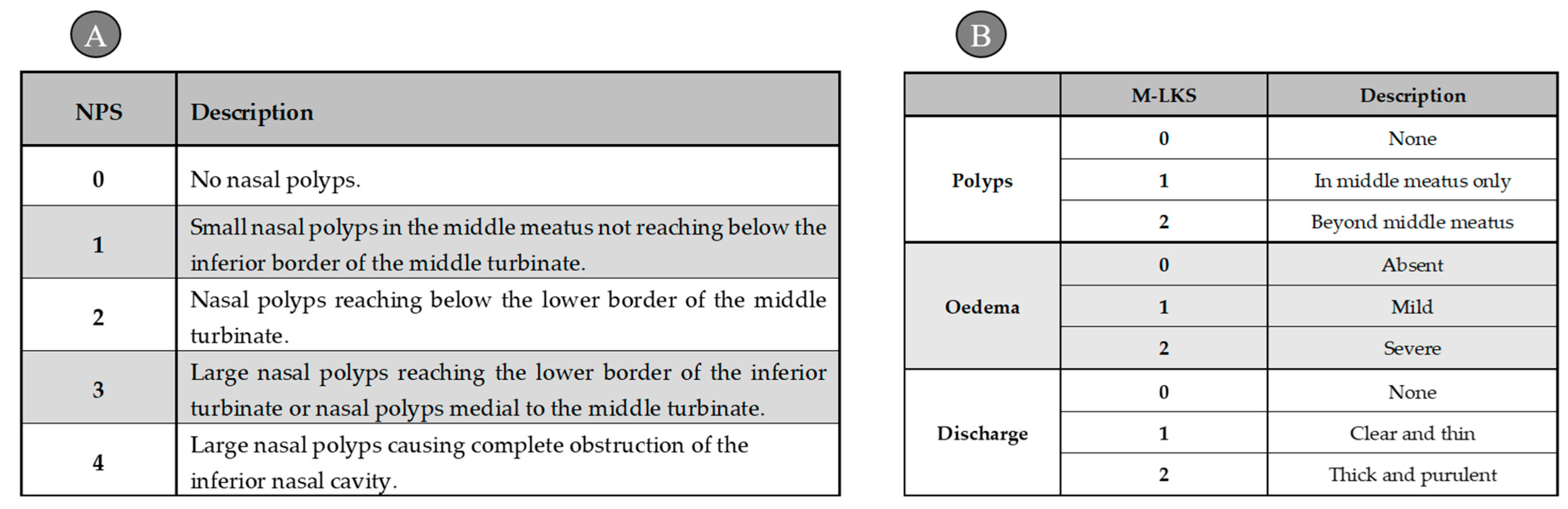 Applsci 15 04873 g001