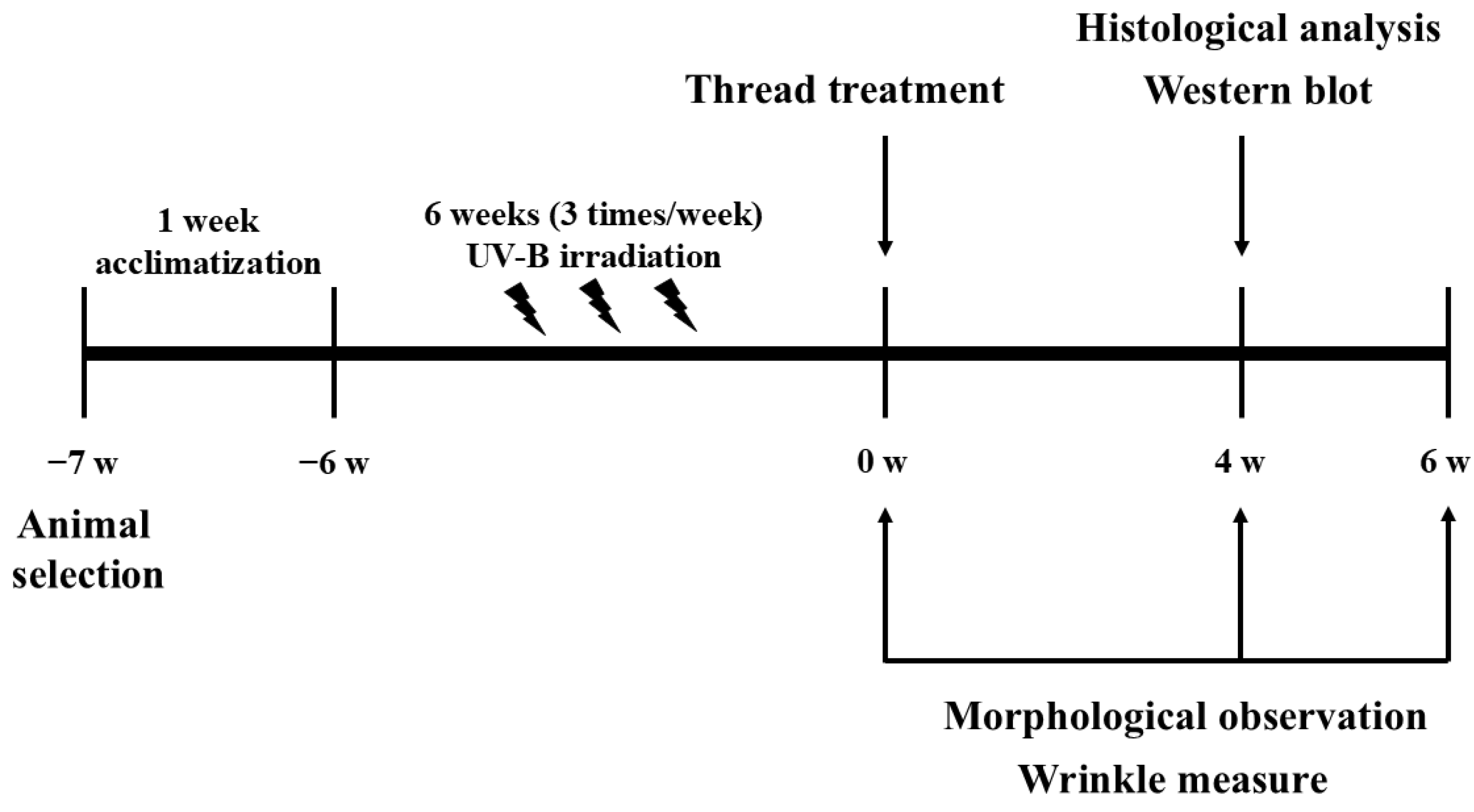 Applsci 15 04879 g001 Applsci 15 04879 g001