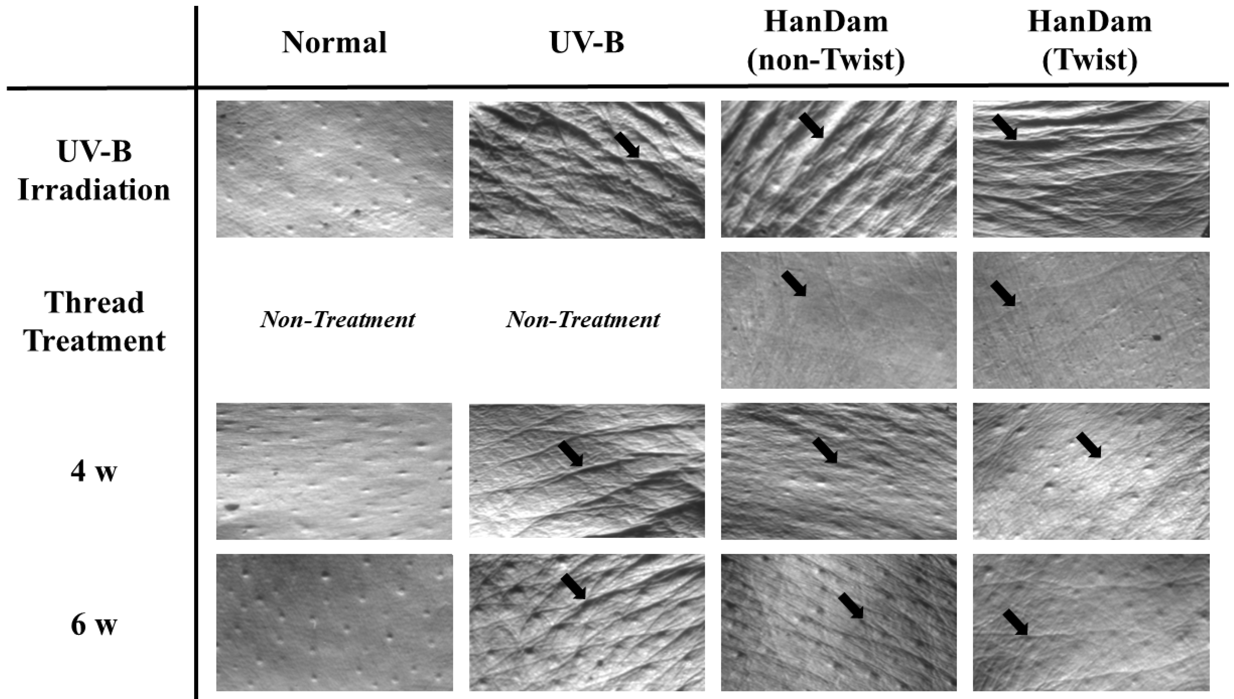 Applsci 15 04879 g003 Applsci 15 04879 g003