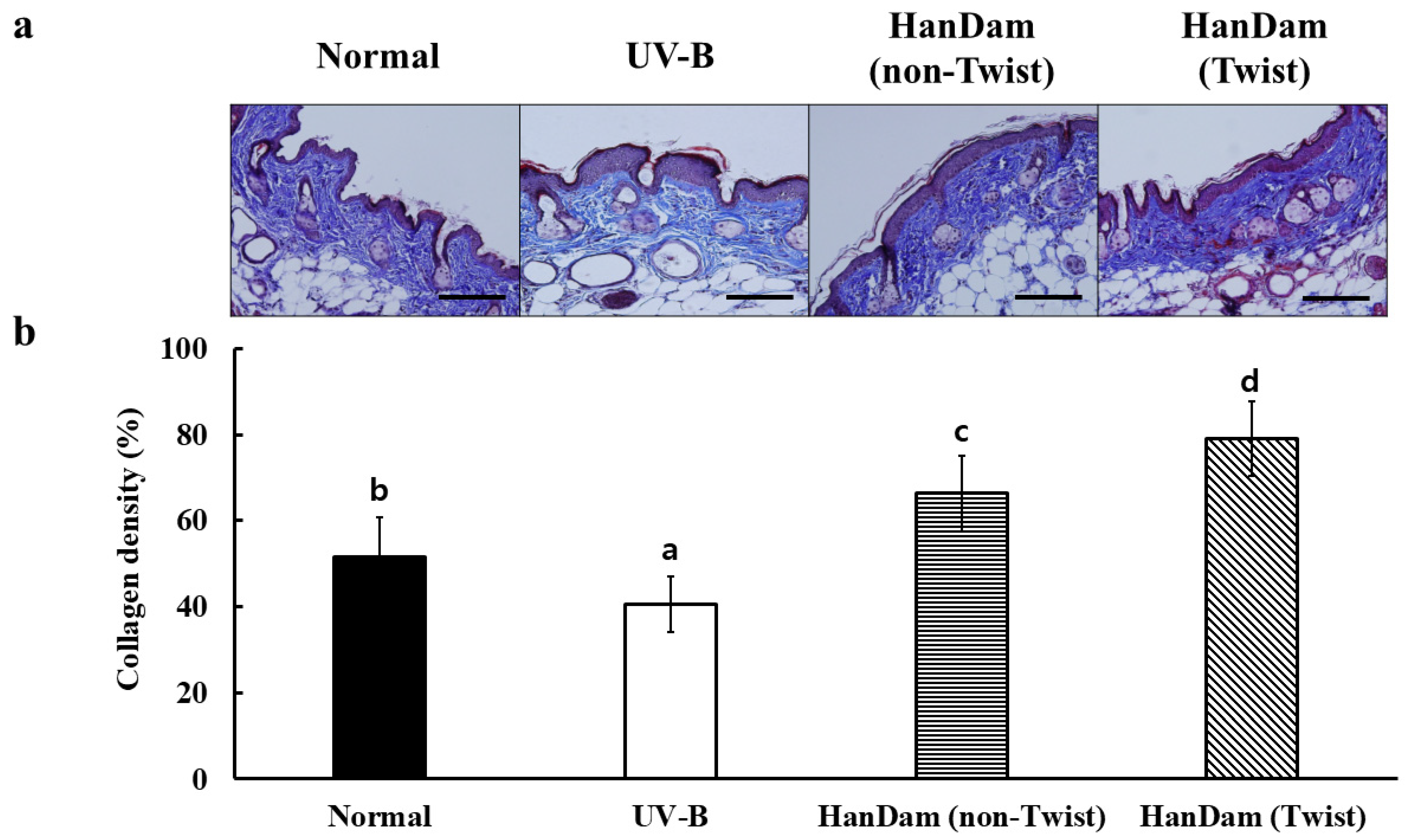 Applsci 15 04879 g005 Applsci 15 04879 g005