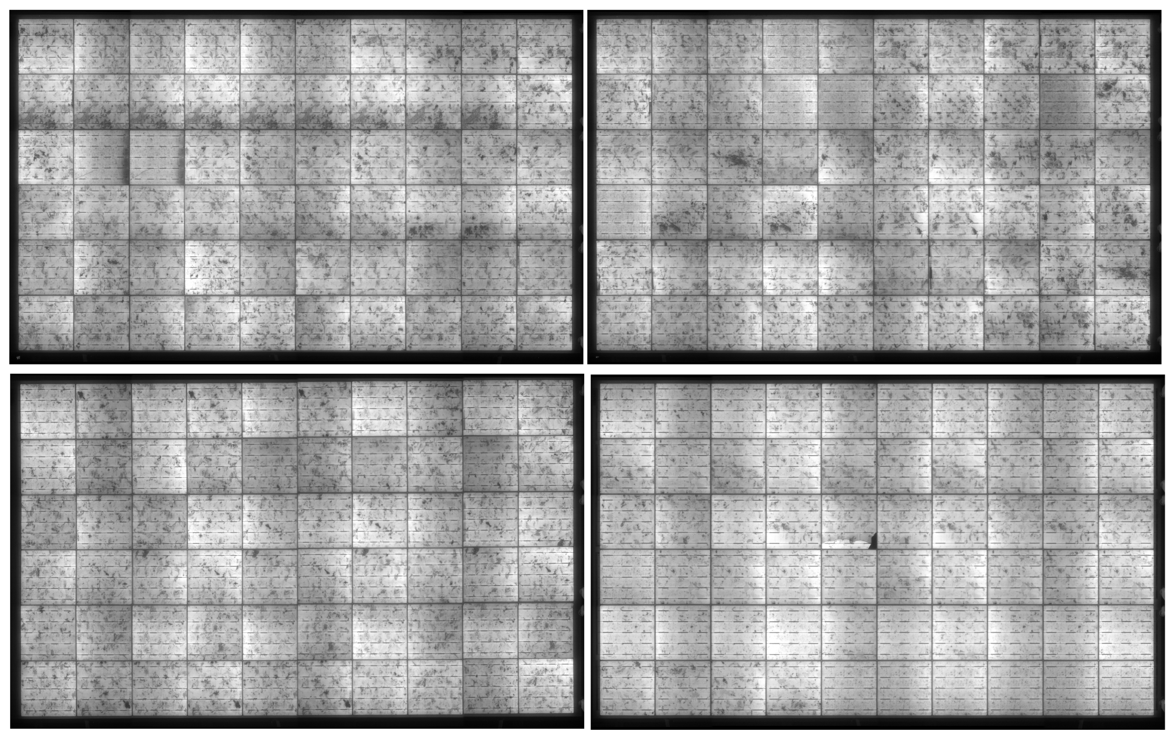 Applsci 15 04880 g001