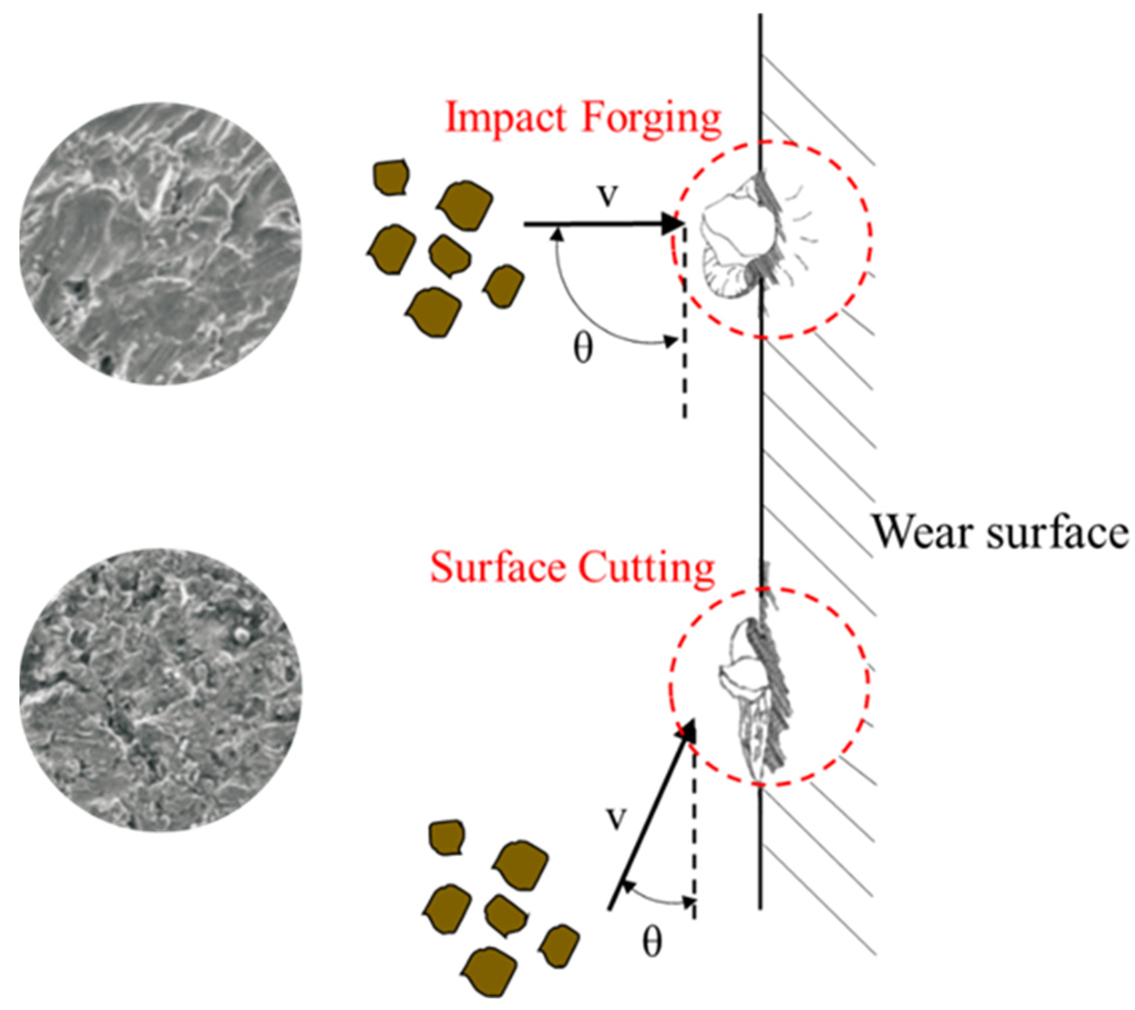 Applsci 15 04892 g002 Applsci 15 04892 g002