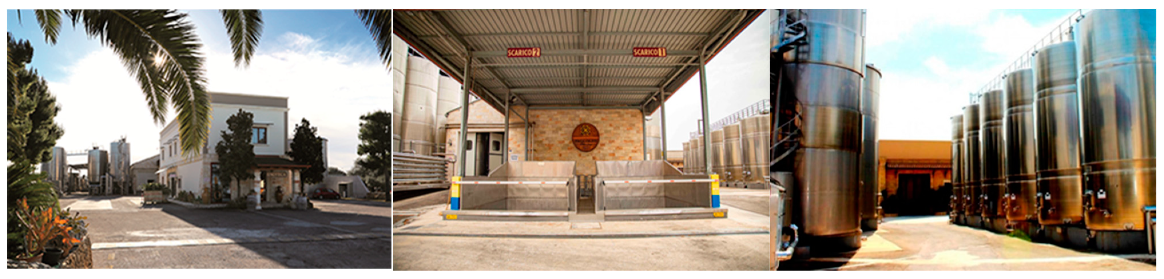 Applsci 15 04915 g001 Applsci 15 04915 g001