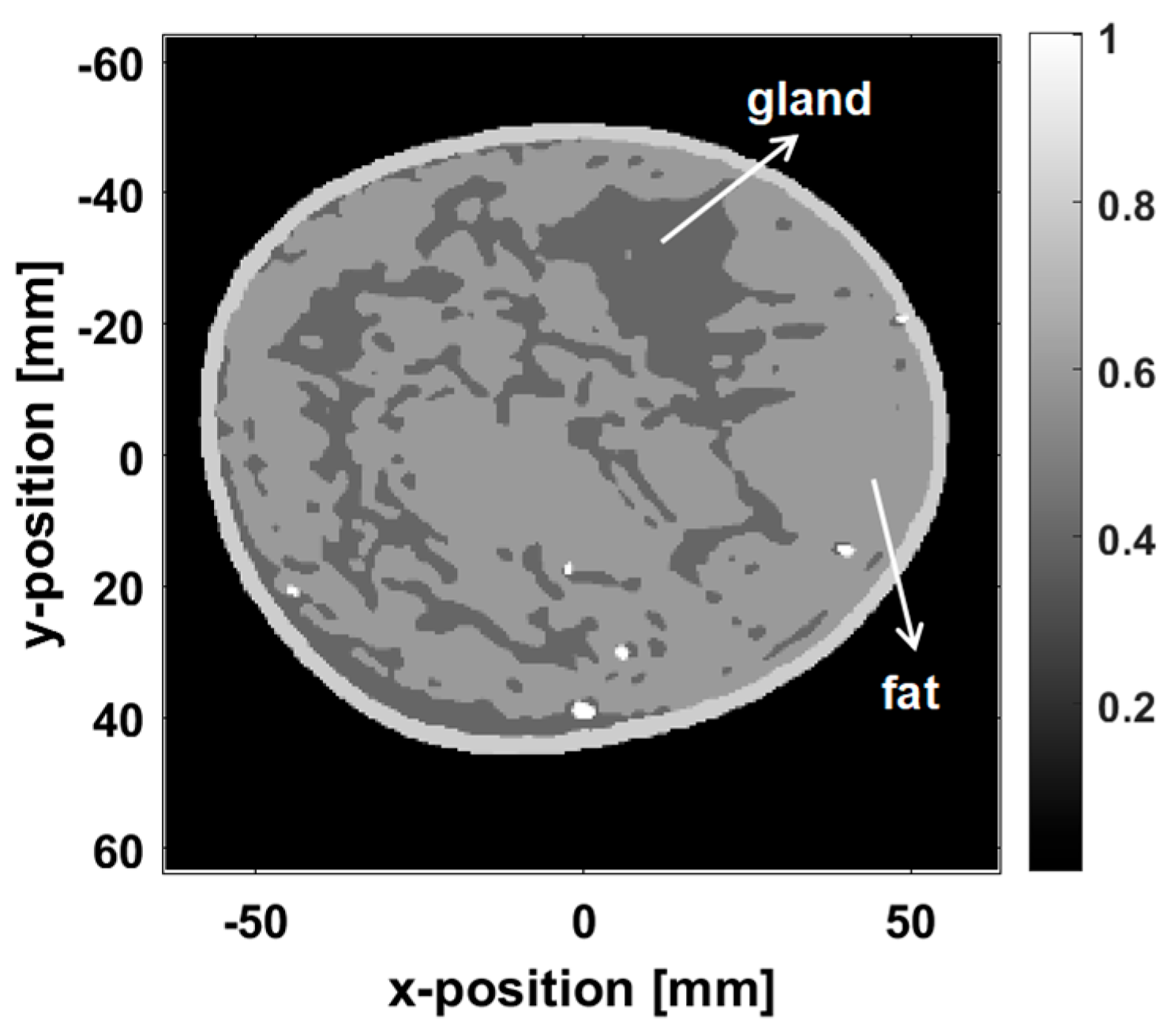 Applsci 15 04922 g013