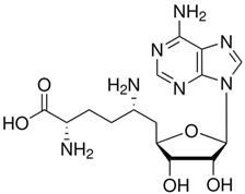 Applsci 15 04942 i001