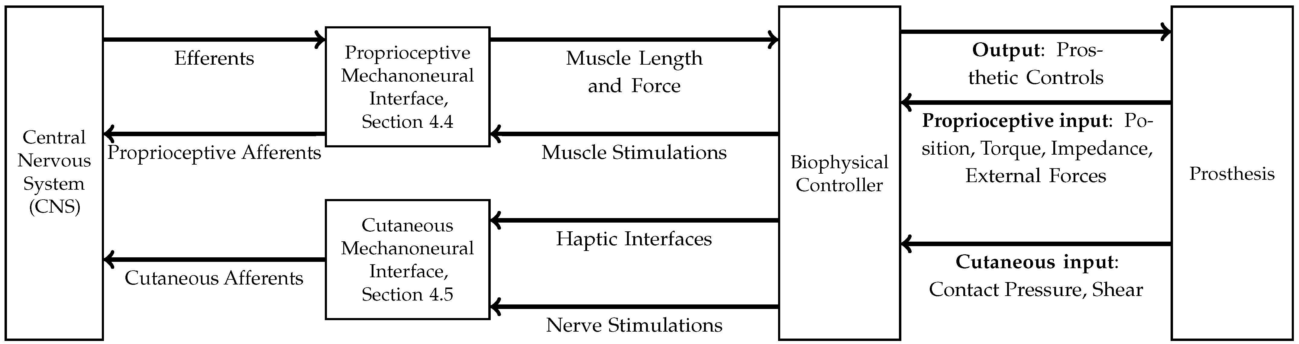 Applsci 15 04952 g001