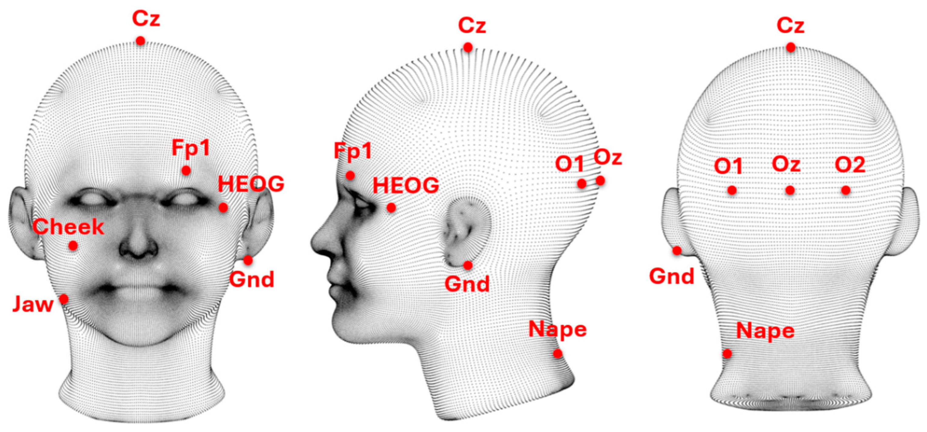 Applsci 15 04953 g001