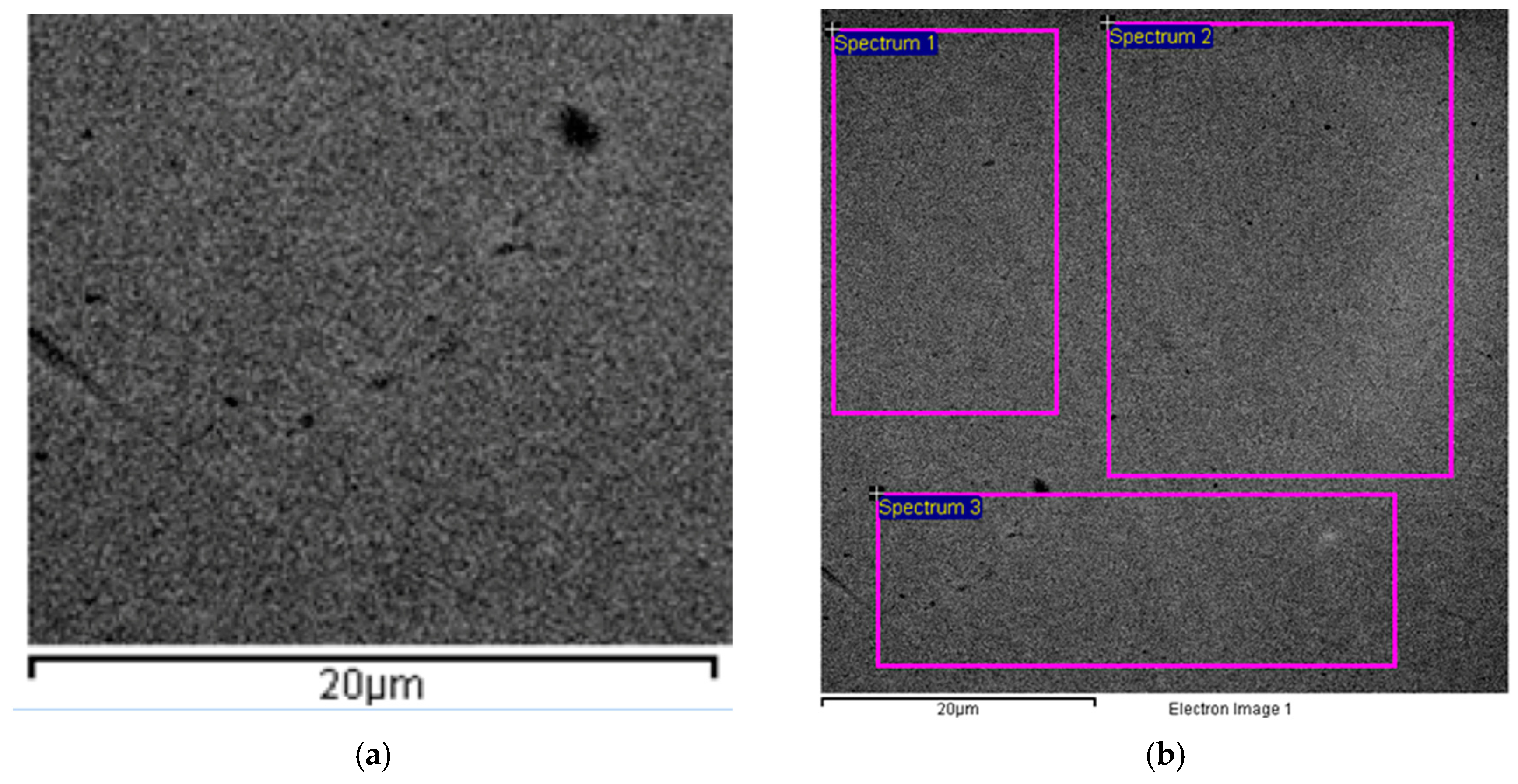 Applsci 15 04955 g005