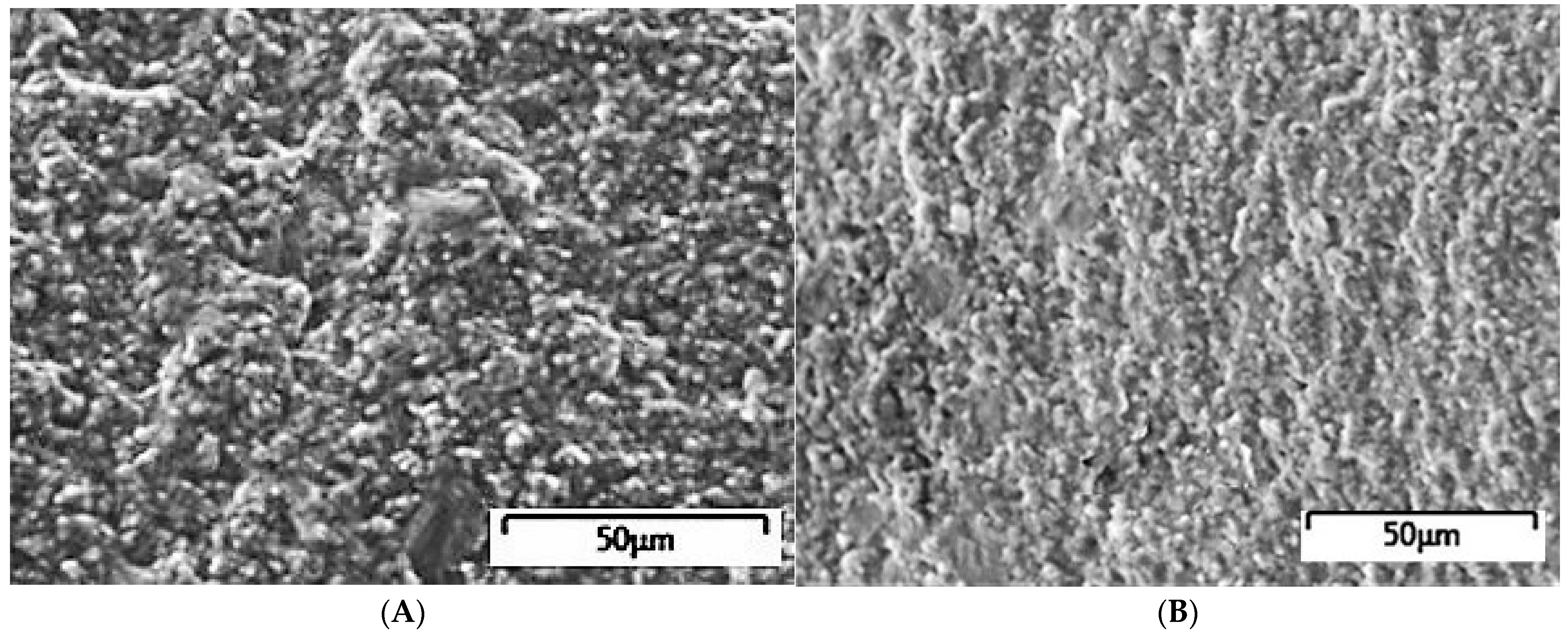 Applsci 15 04961 g002