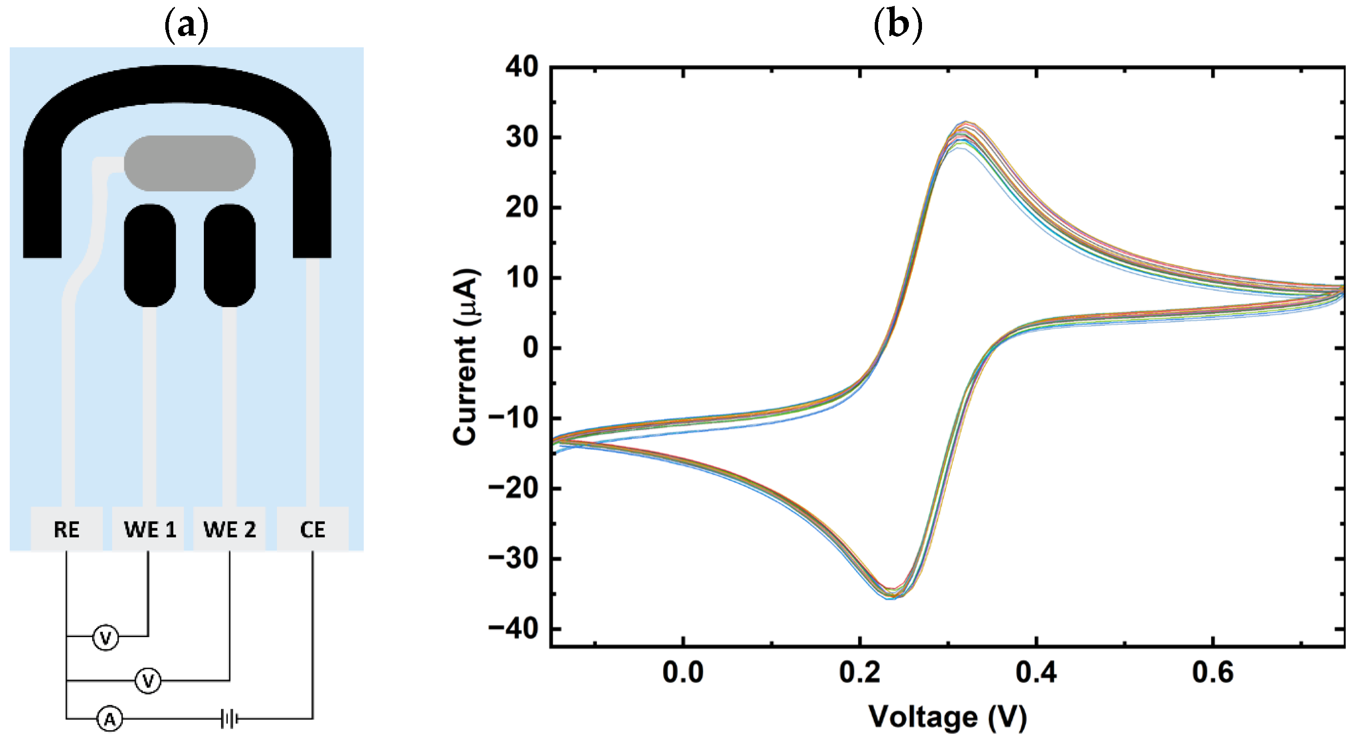 Applsci 15 04970 g001