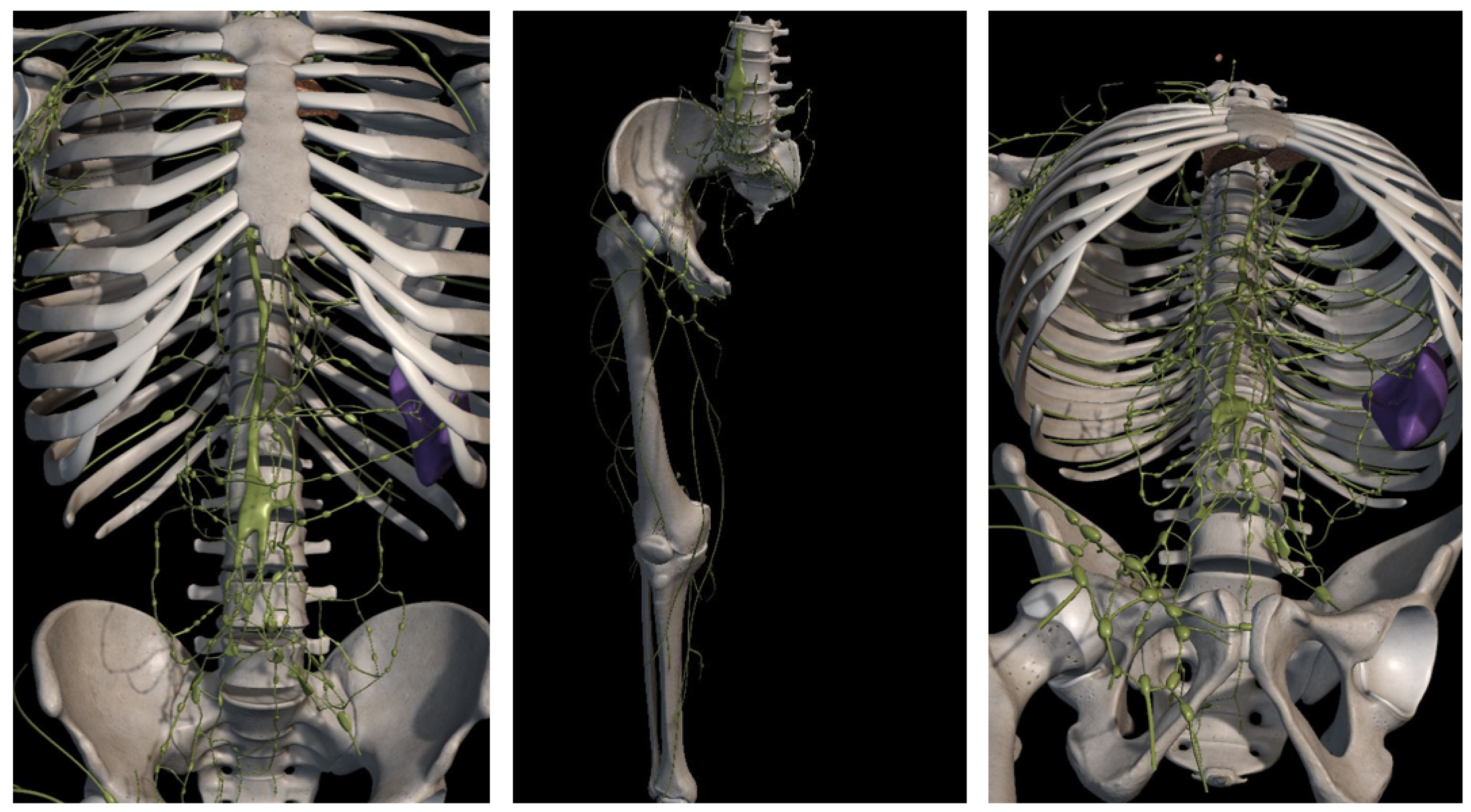 Applsci 15 04972 g003