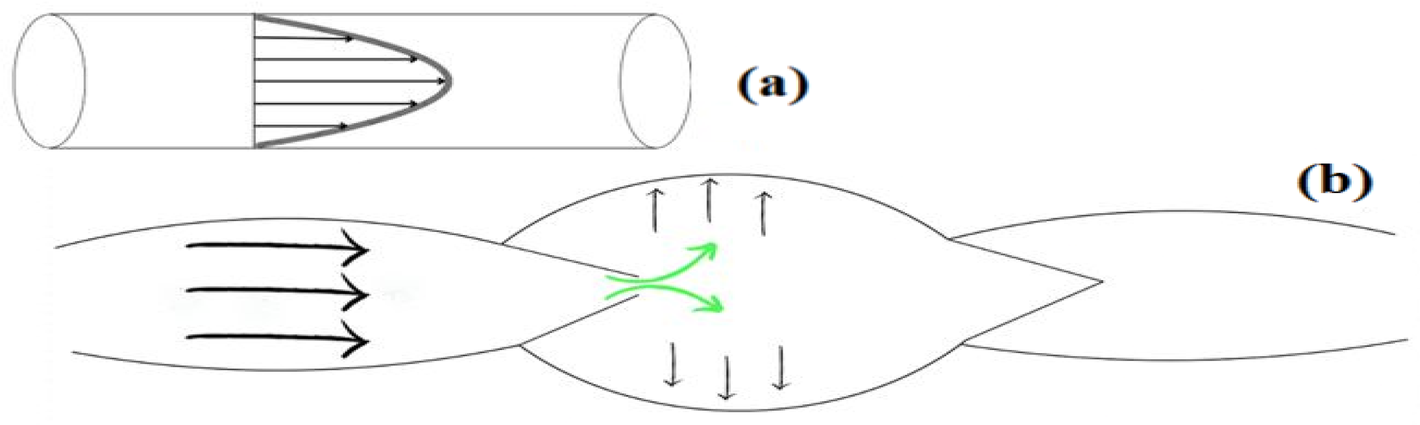 Applsci 15 04972 g004