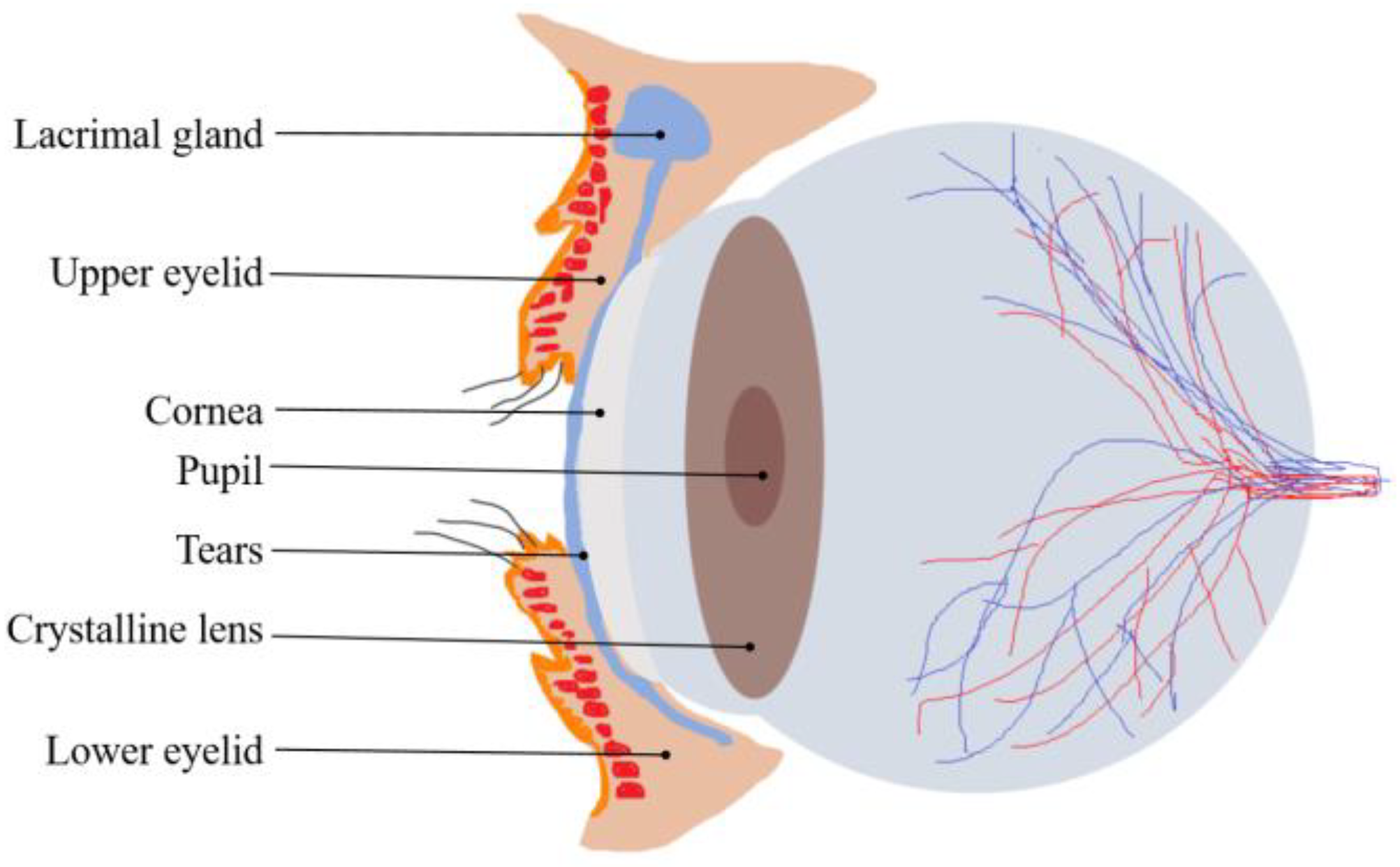 Applsci 15 04981 g001