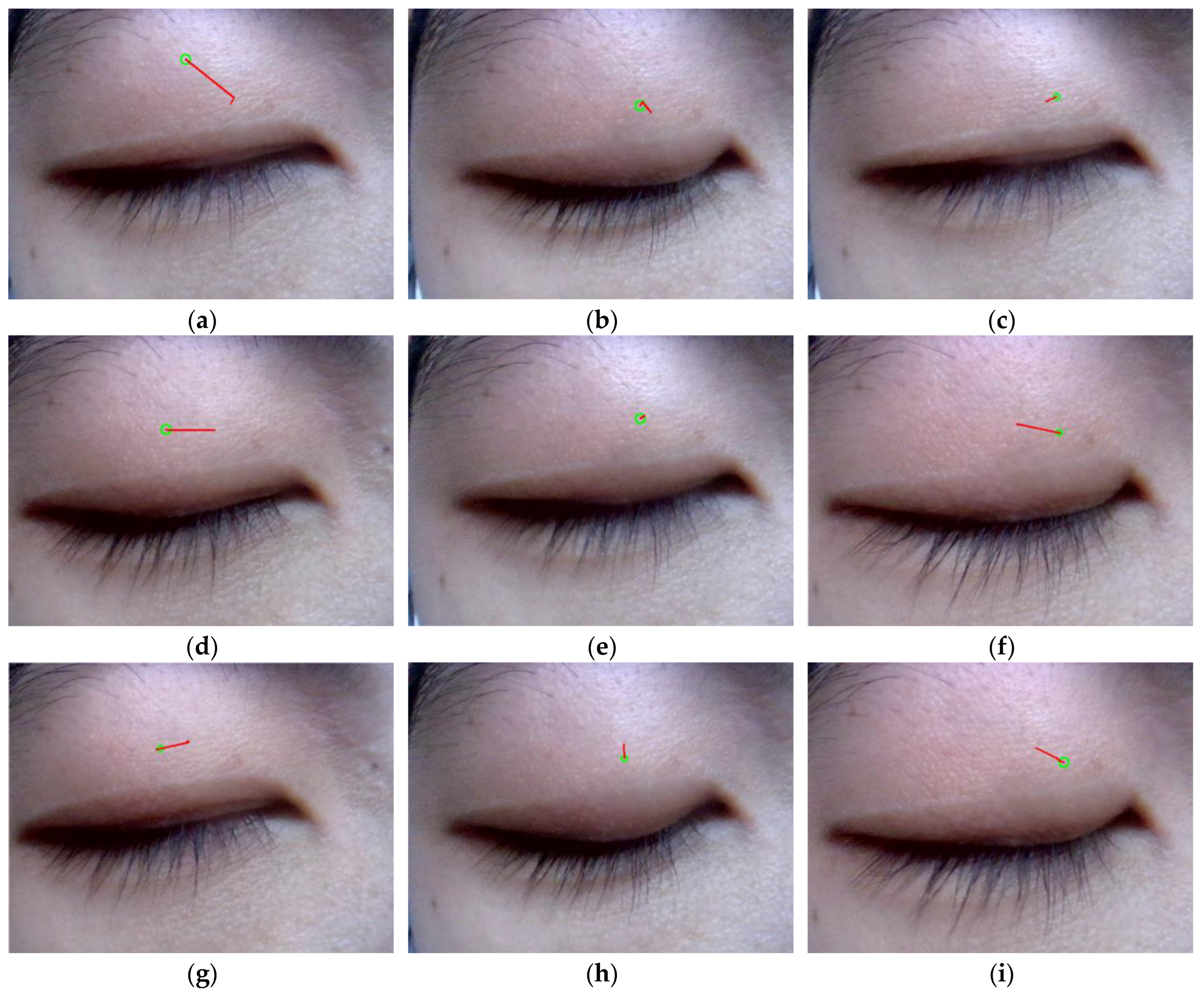 Applsci 15 04981 g008