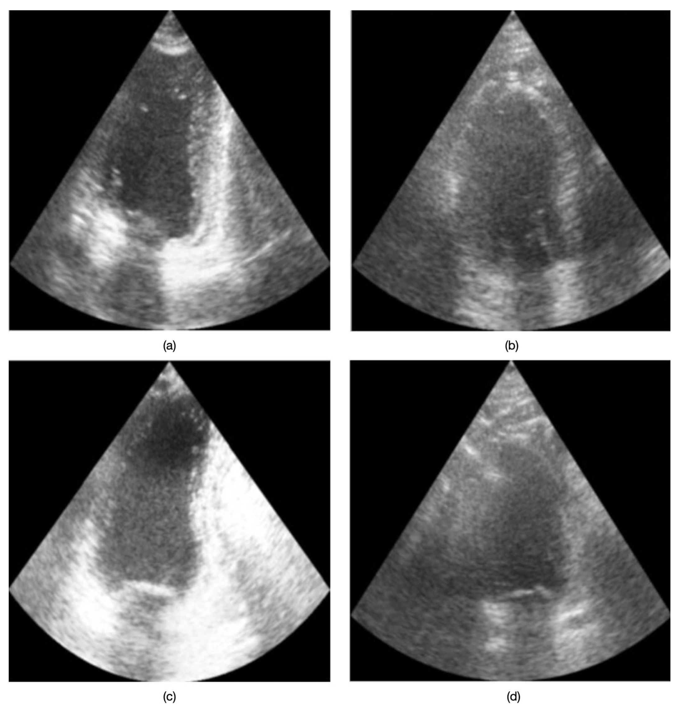 Applsci 15 05001 g002