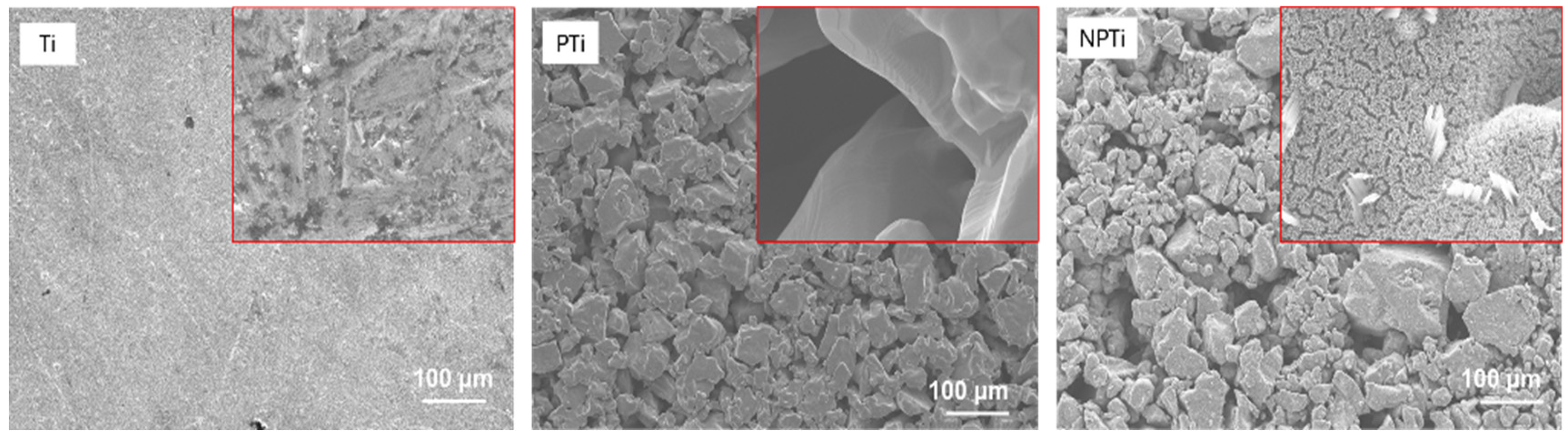 Applsci 15 05061 g001