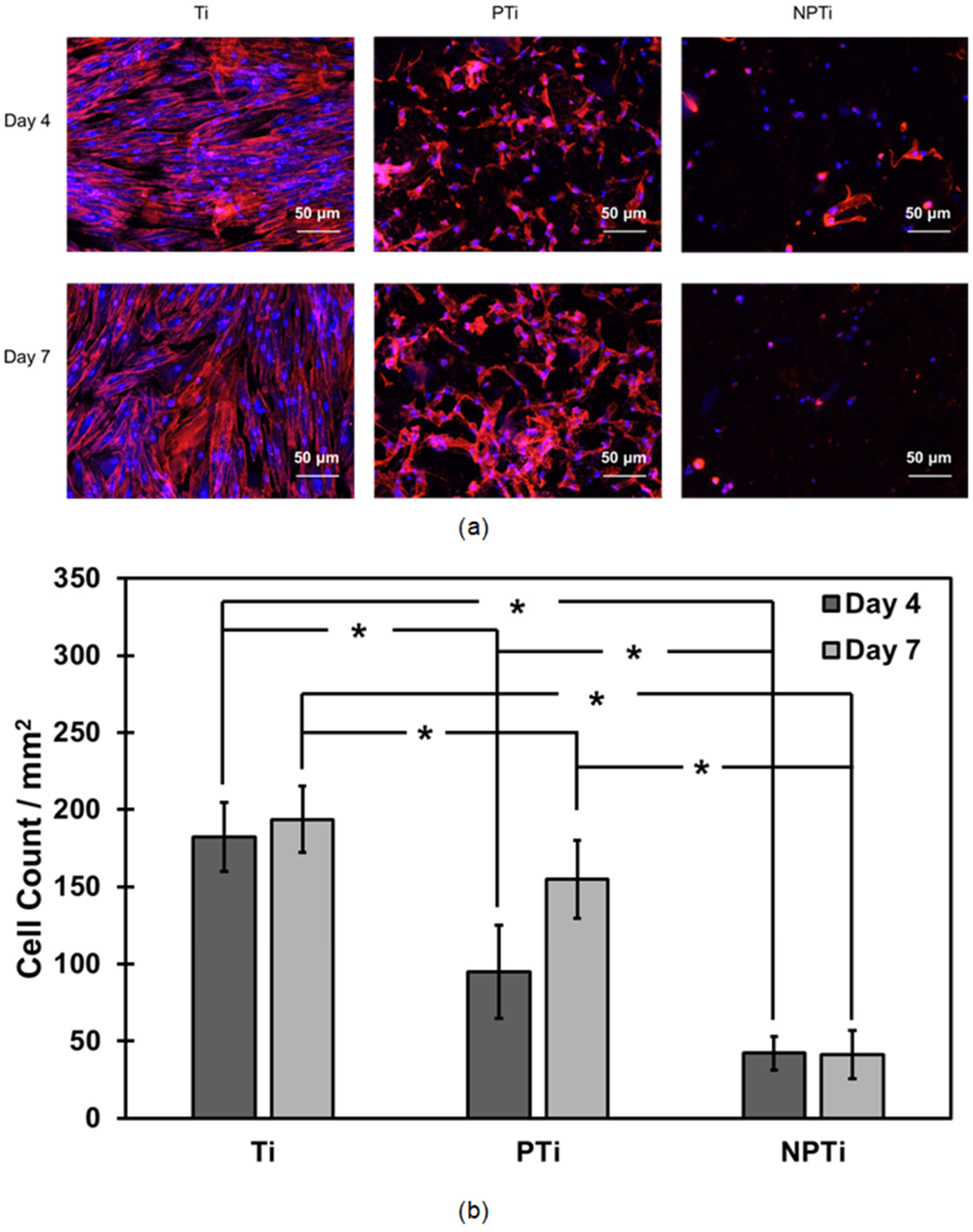 Applsci 15 05061 g004