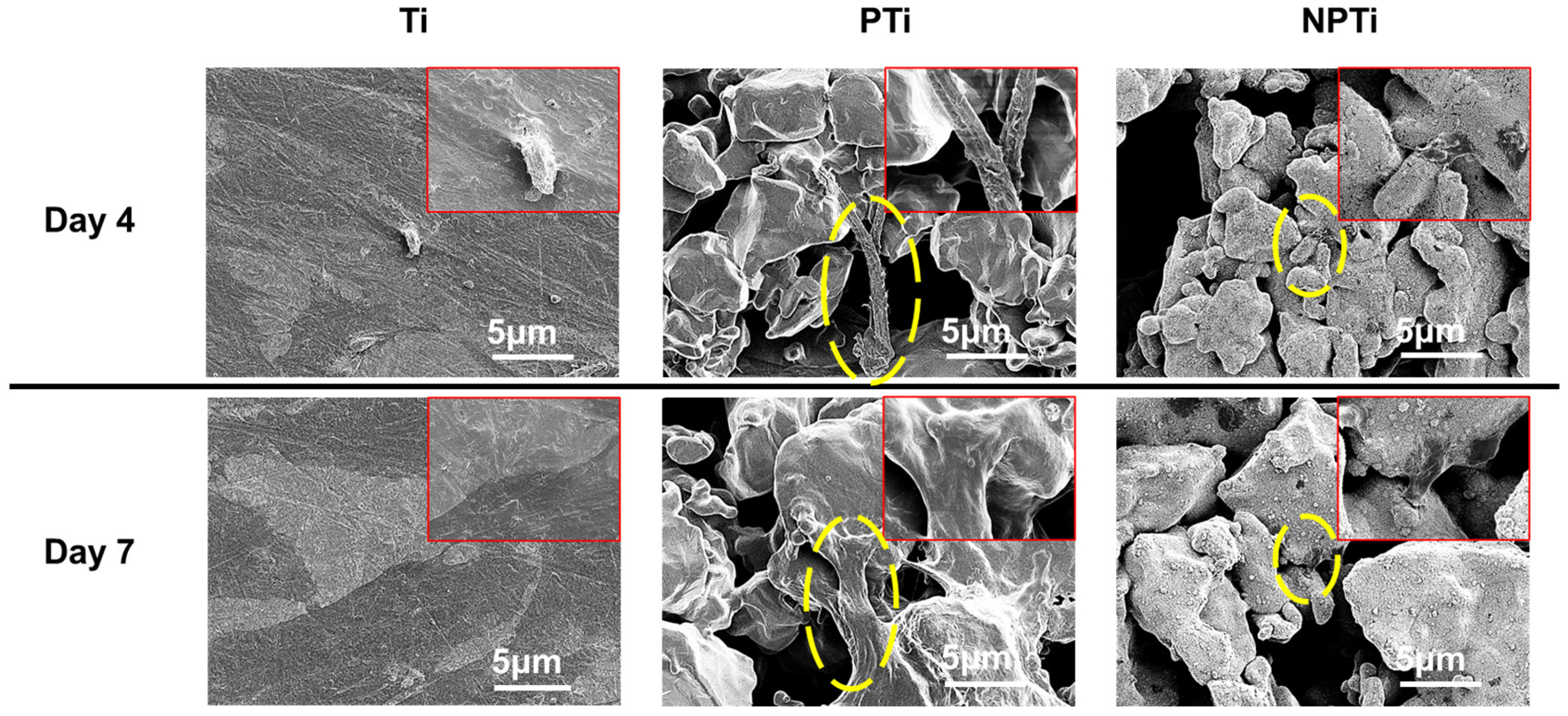 Applsci 15 05061 g005
