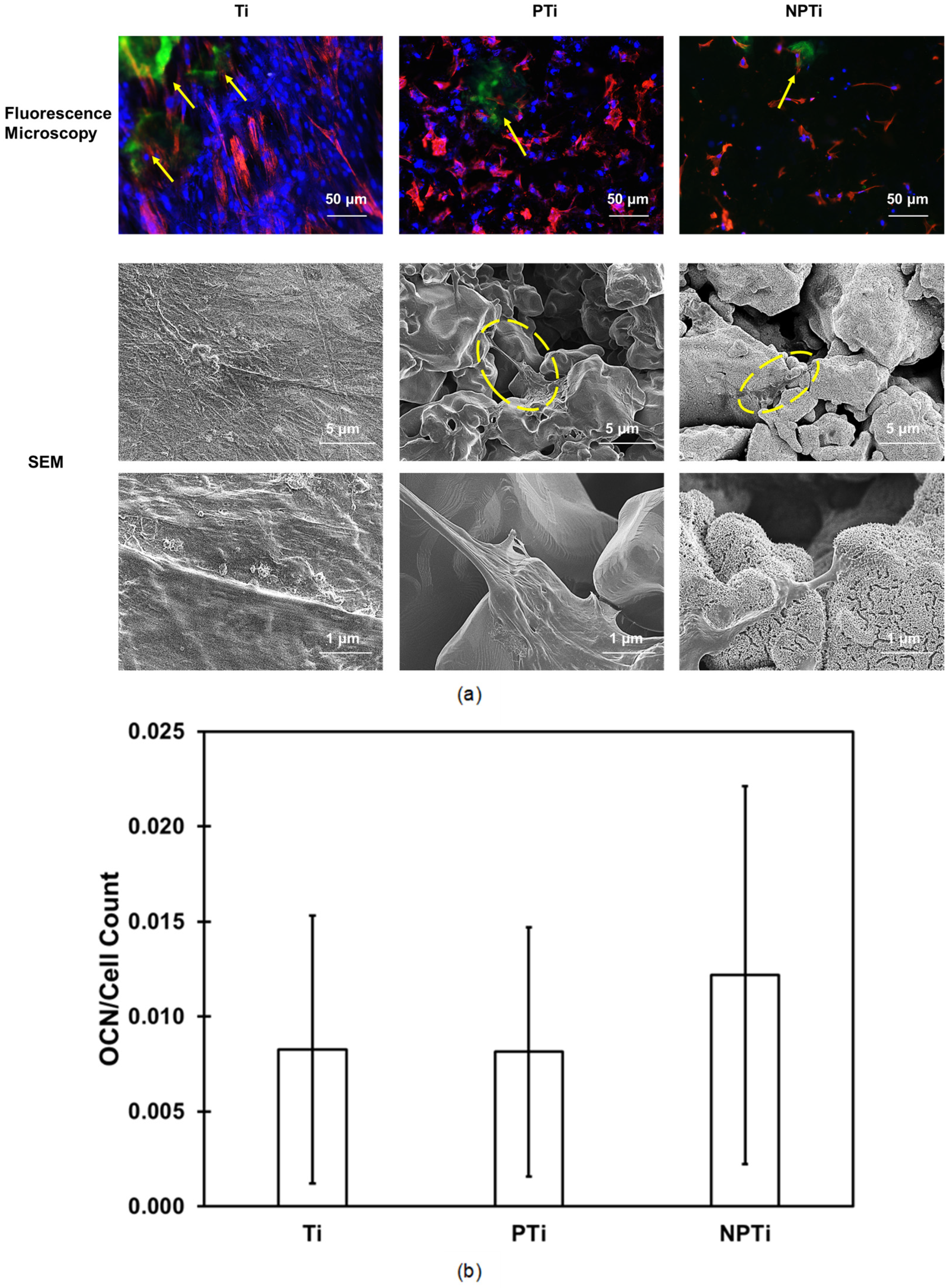 Applsci 15 05061 g008