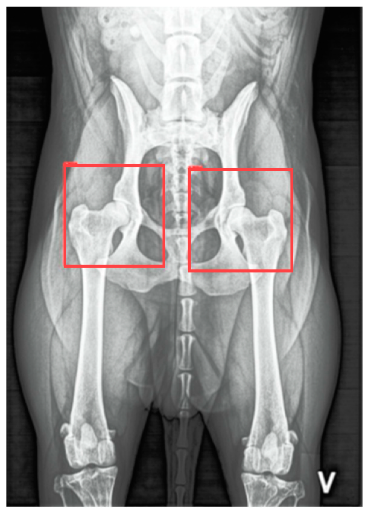 Applsci 15 05087 g002