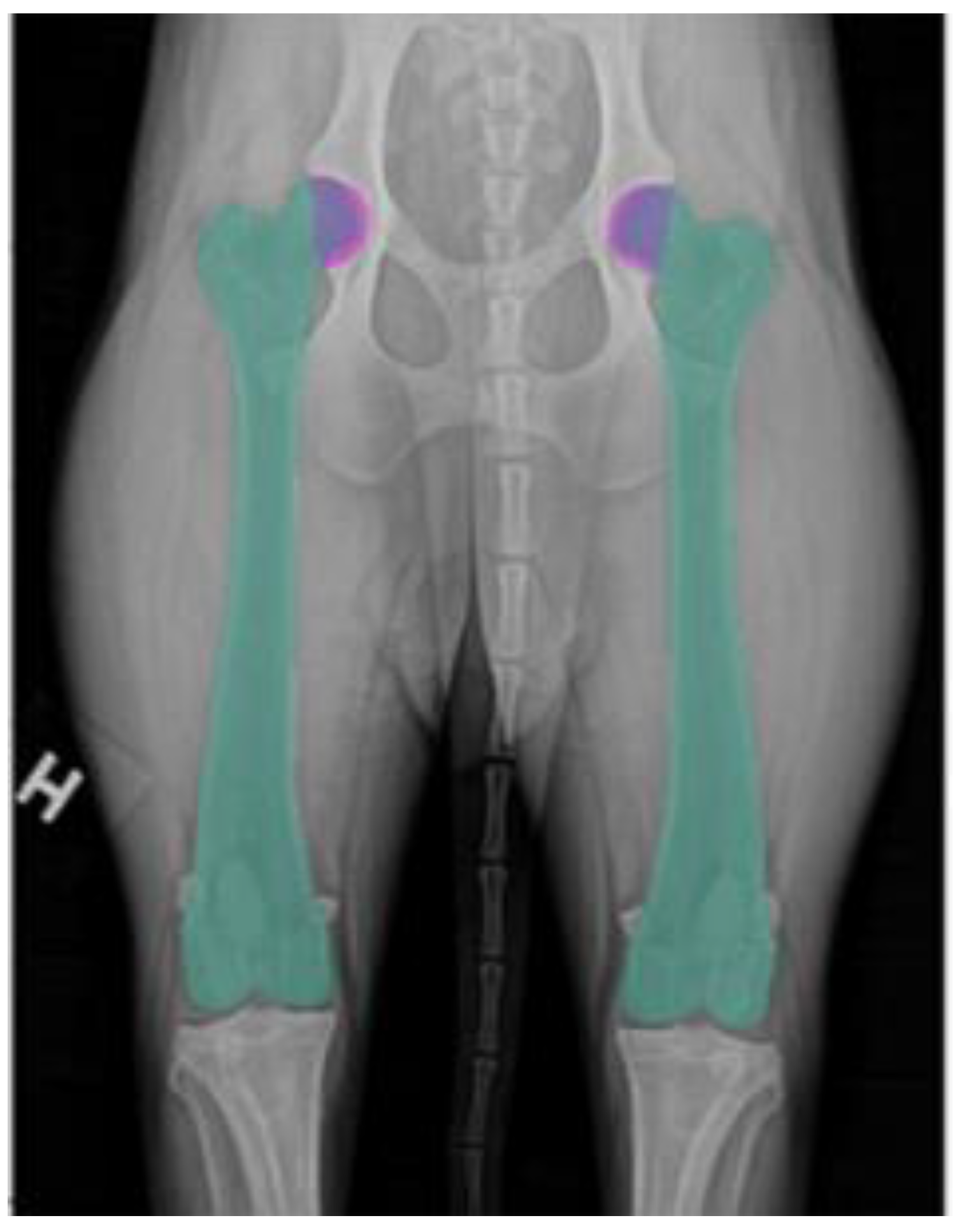 Applsci 15 05087 g004