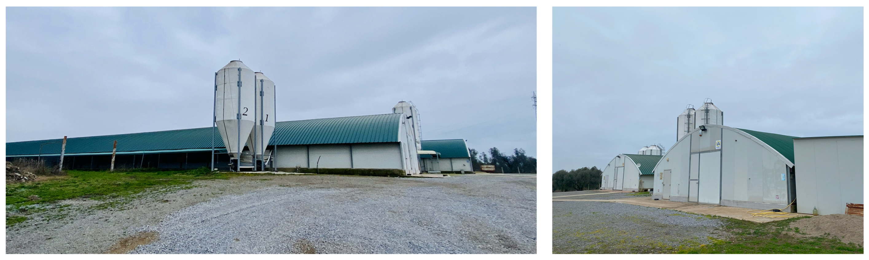 Applsci 15 05094 g006