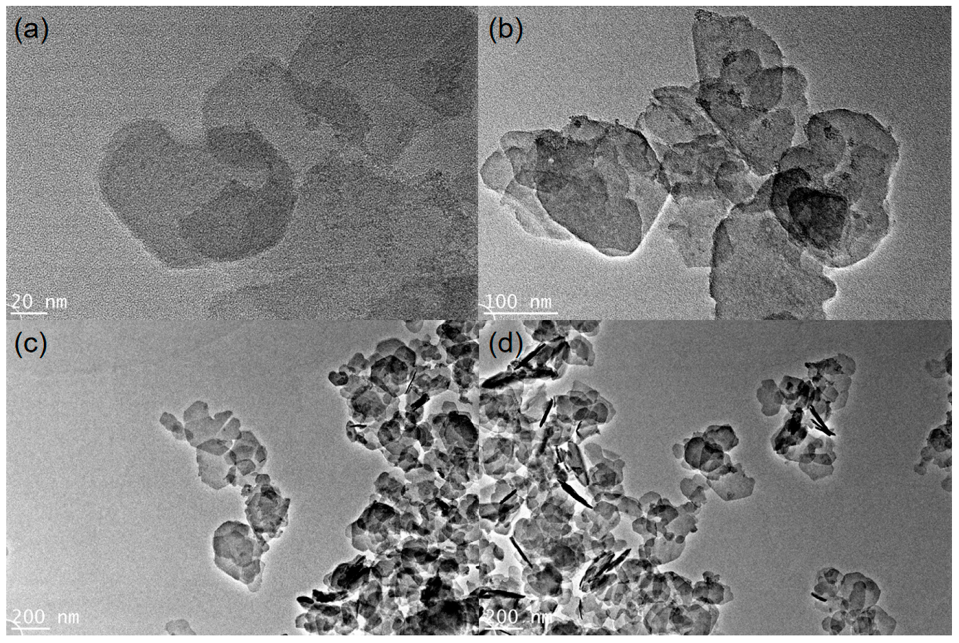 Applsci 15 05100 g002