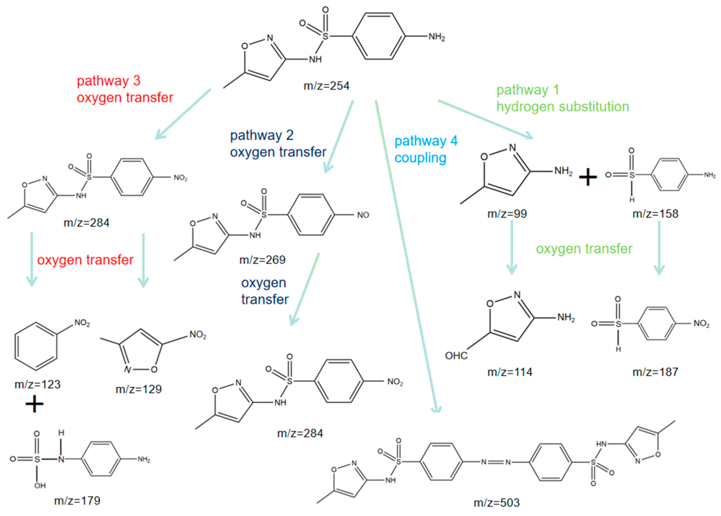Applsci 15 05100 g010