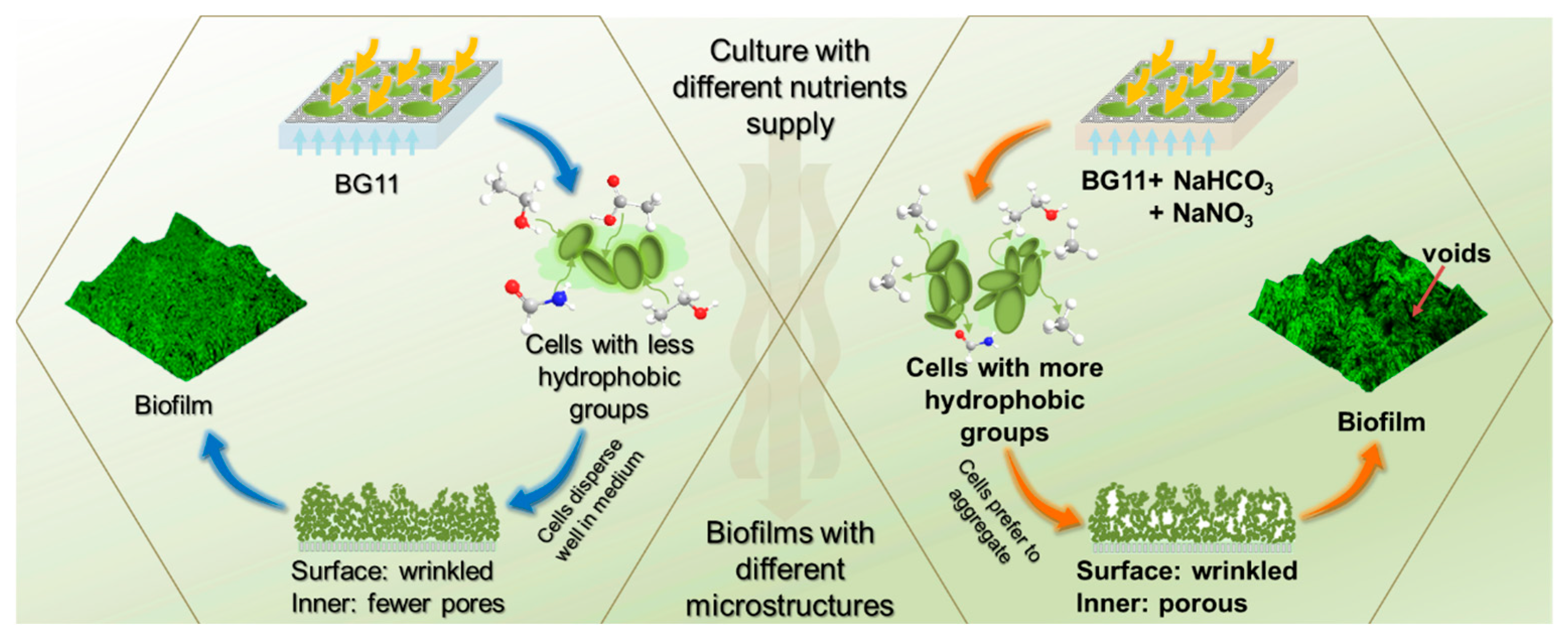 Applsci 15 05104 g006