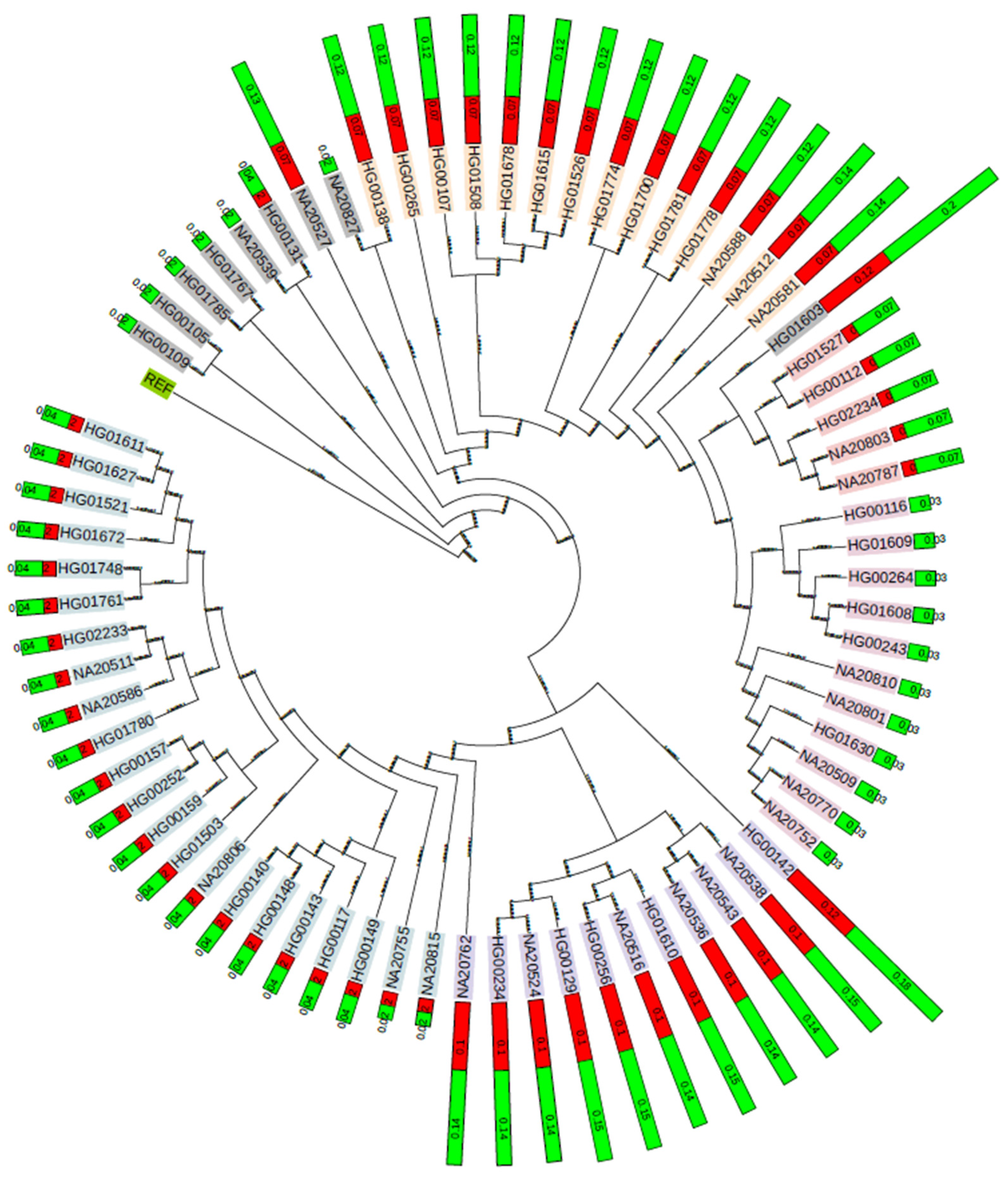 Applsci 15 05113 g005