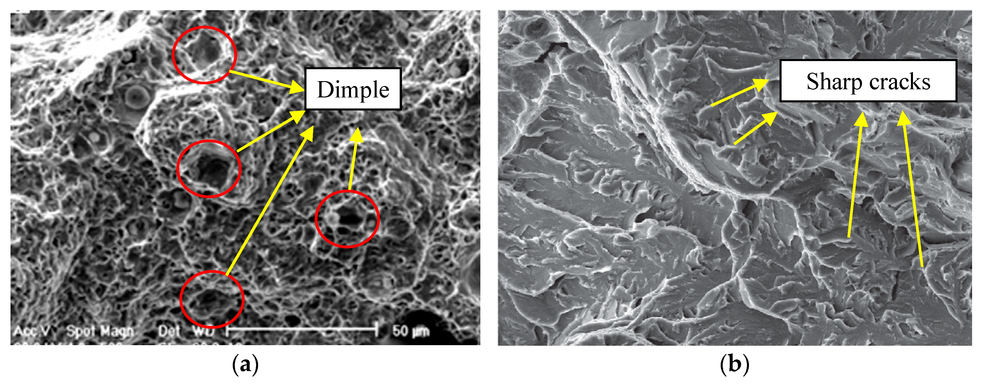 Applsci 15 05114 g002 Applsci 15 05114 g002