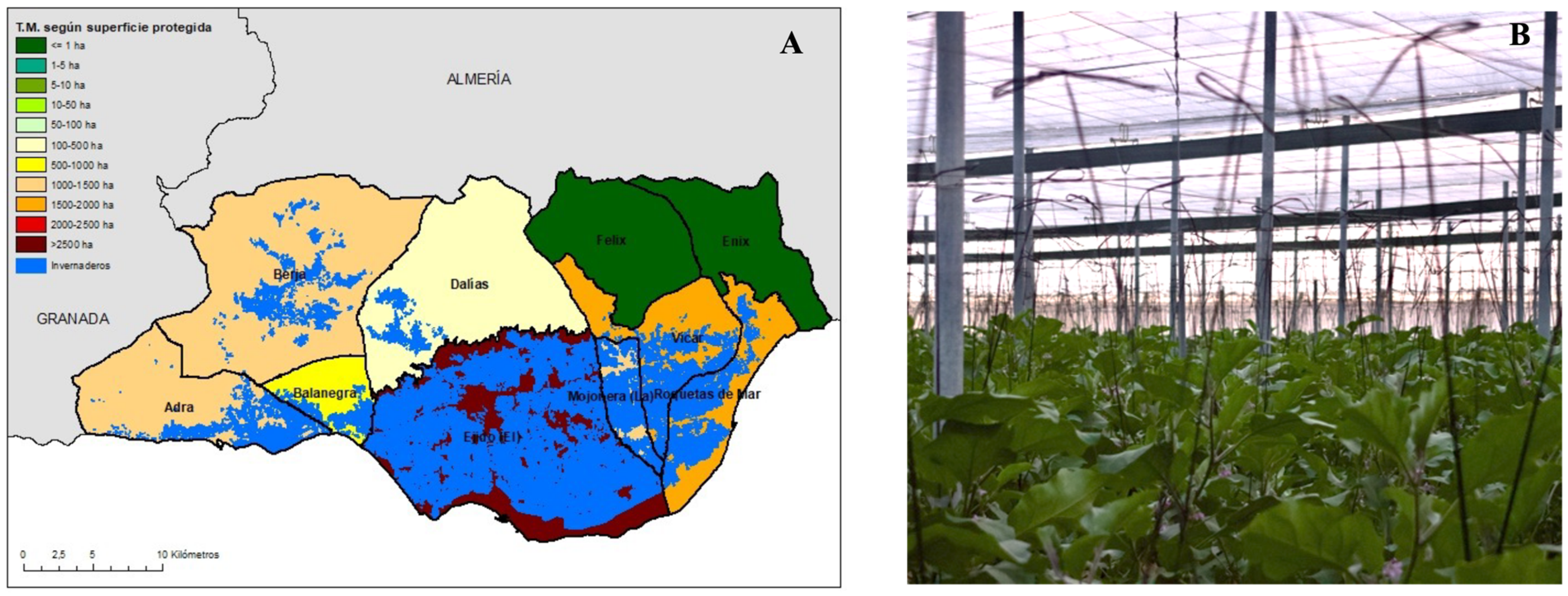 Applsci 15 05121 g002