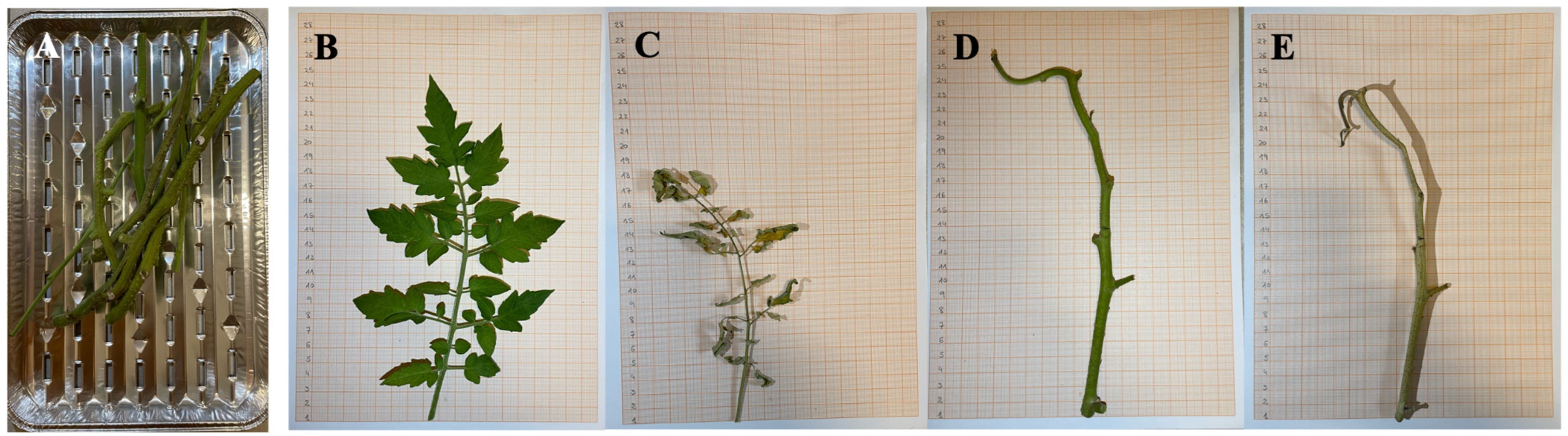 Applsci 15 05121 g003