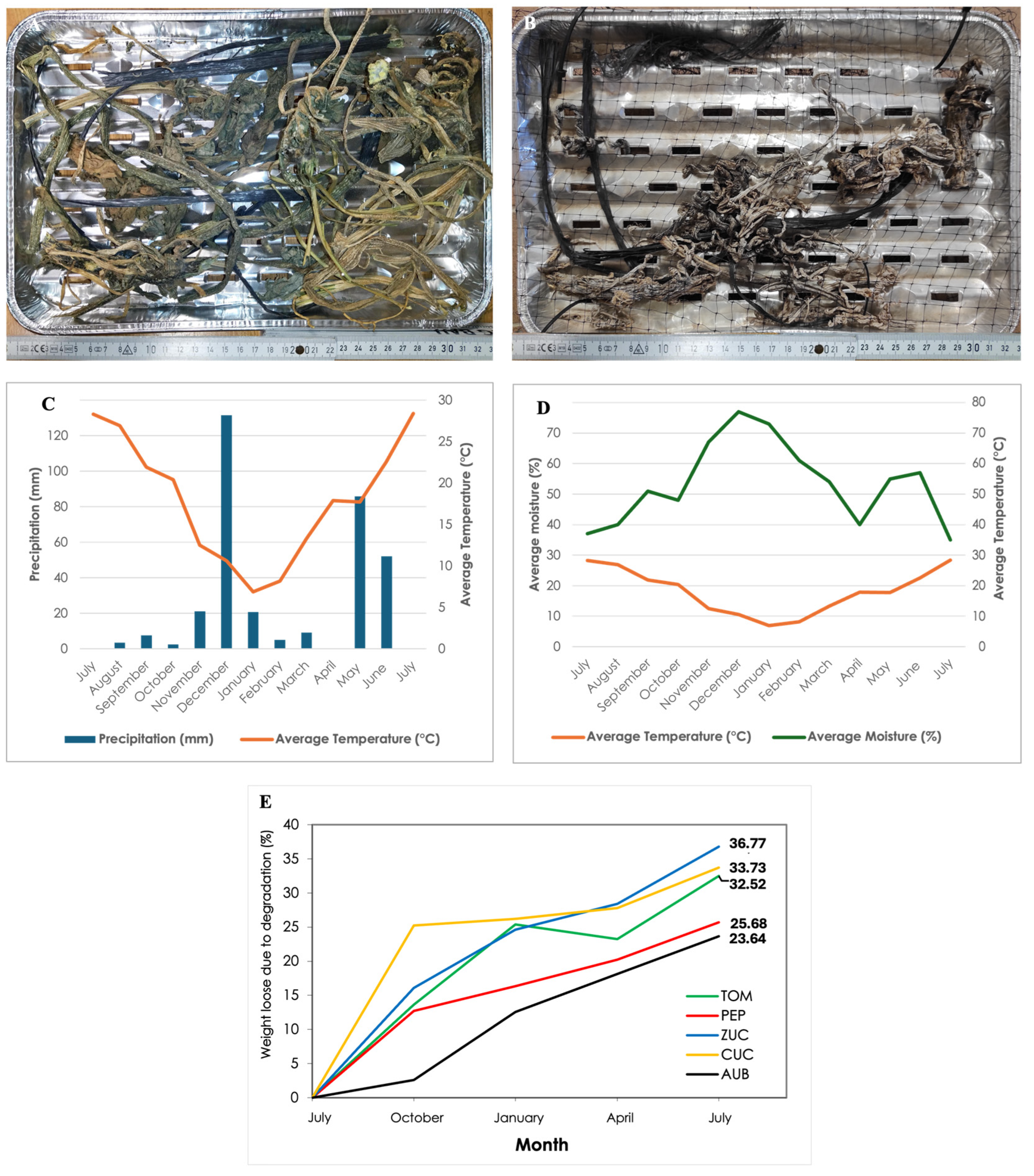 Applsci 15 05121 g005