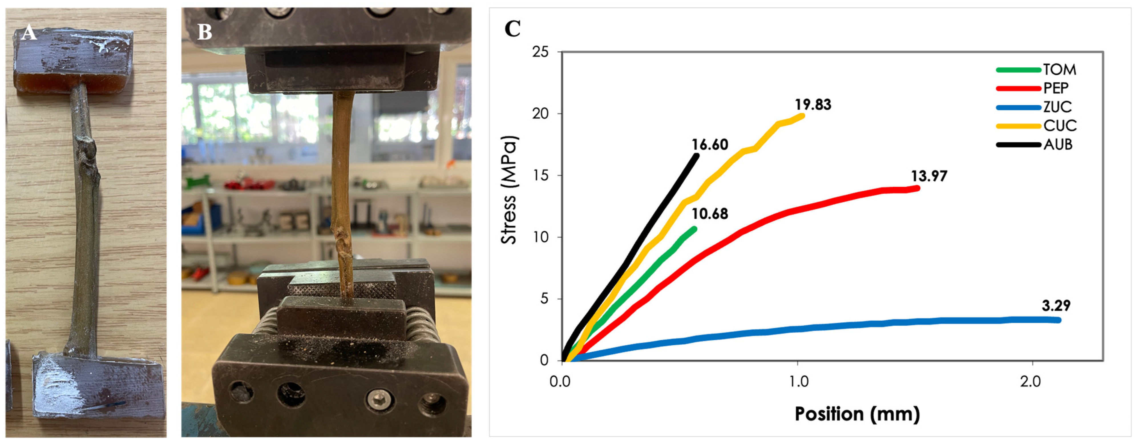 Applsci 15 05121 g006