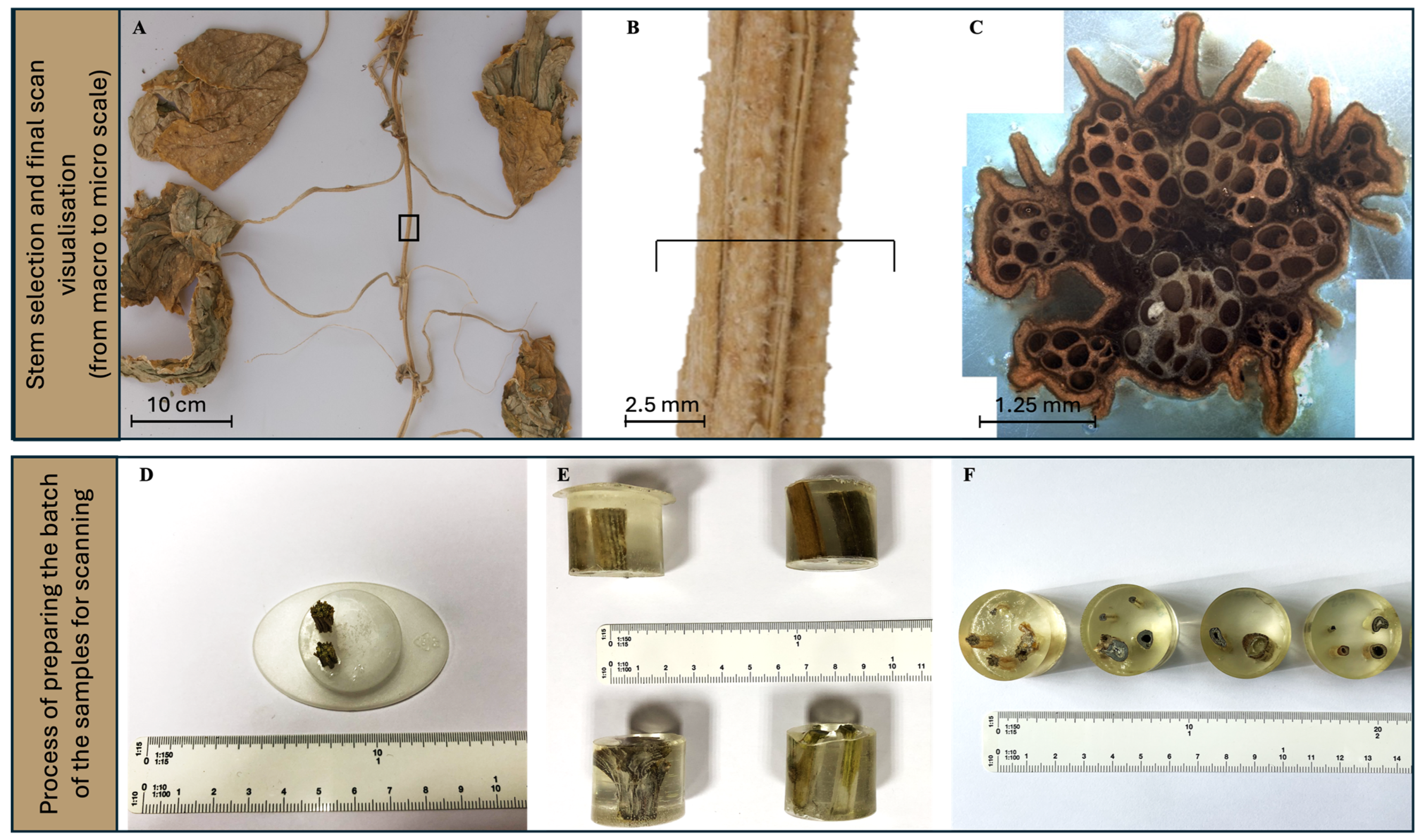 Applsci 15 05121 g007