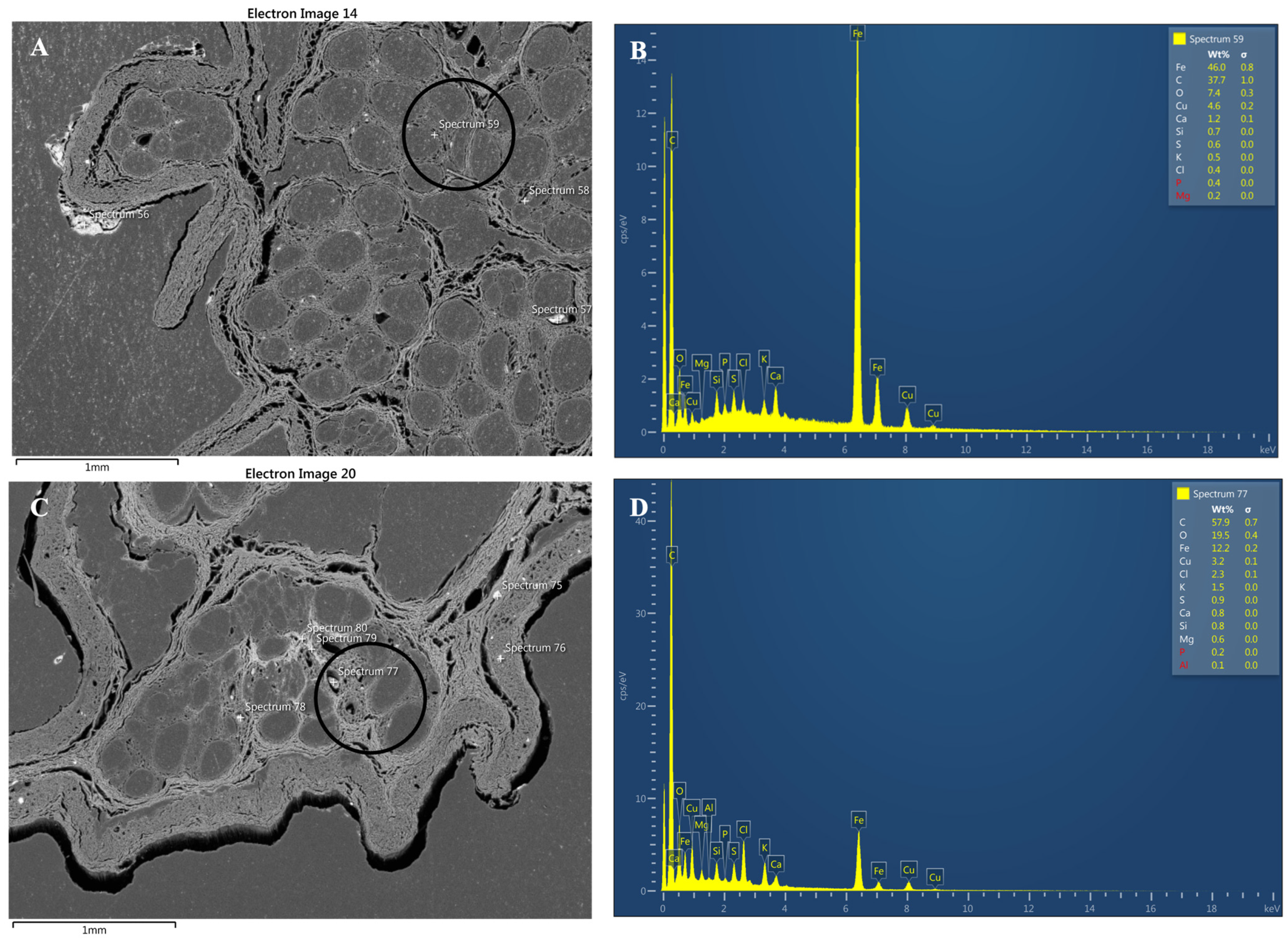 Applsci 15 05121 g013