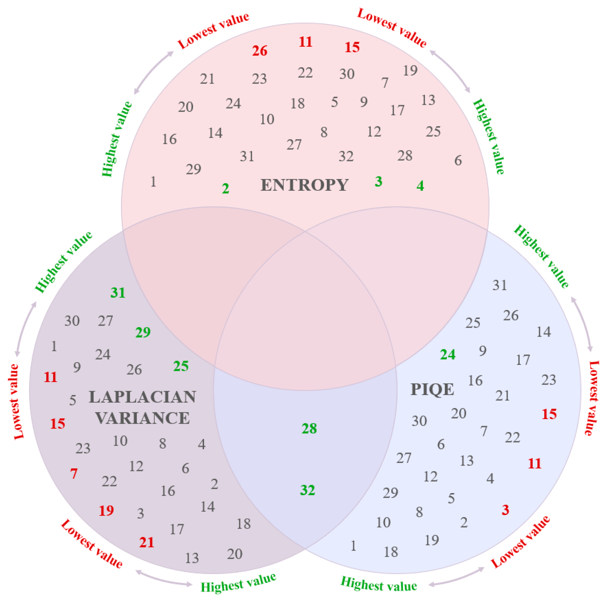 Applsci 15 05126 g011