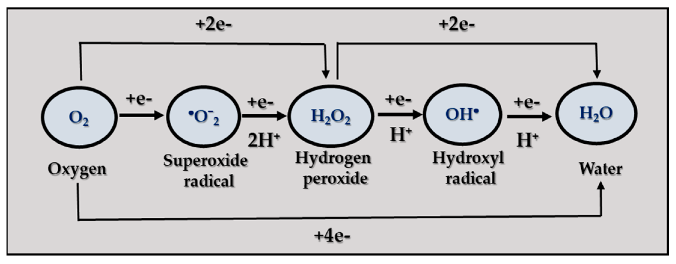 Applsci 15 05149 g001