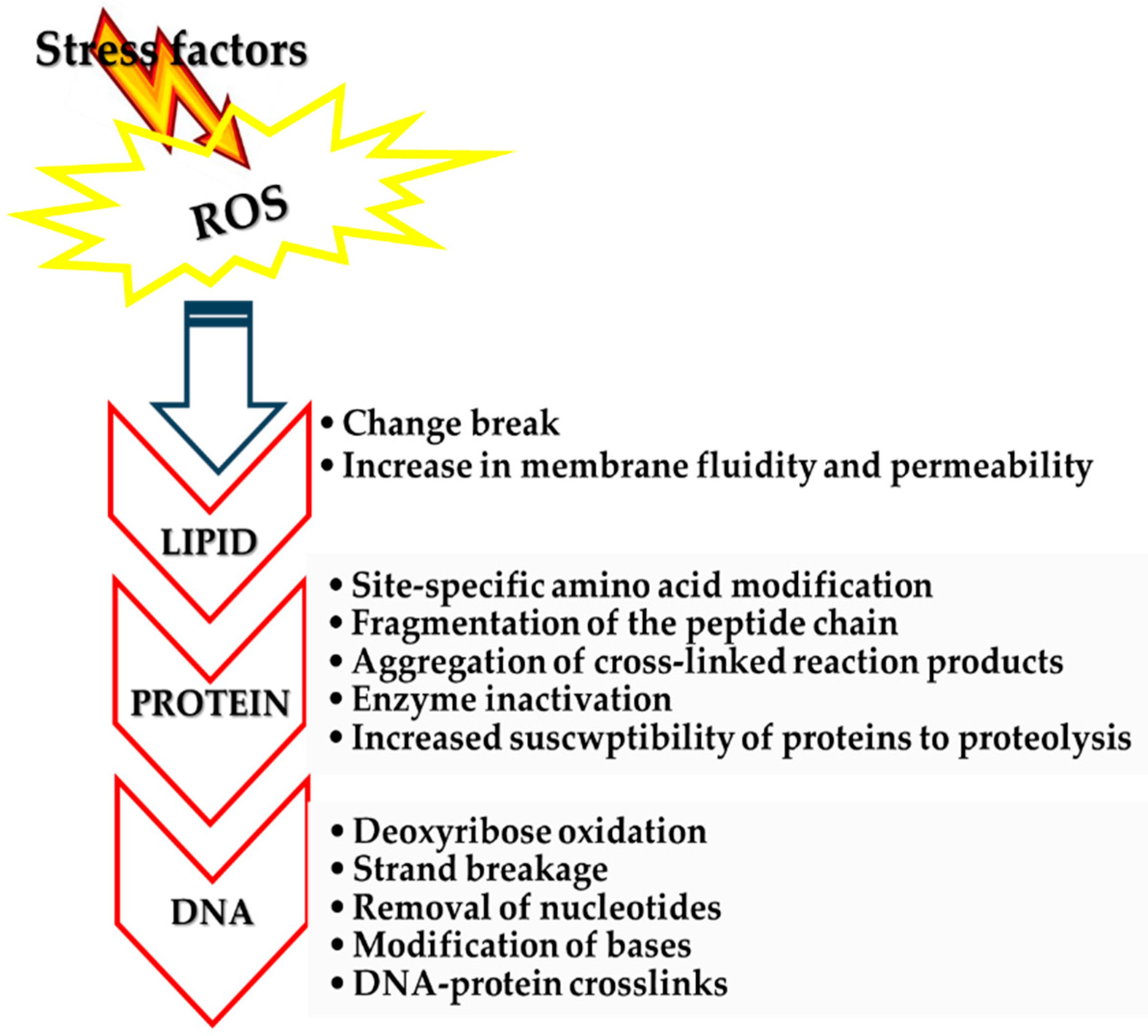 Applsci 15 05149 g002