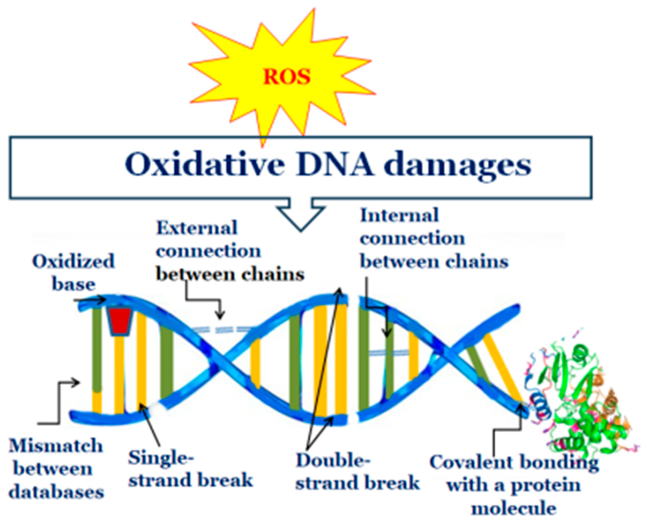 Applsci 15 05149 g003