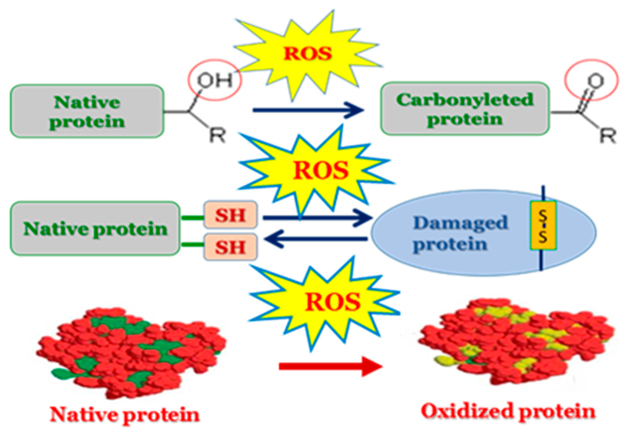 Applsci 15 05149 g004