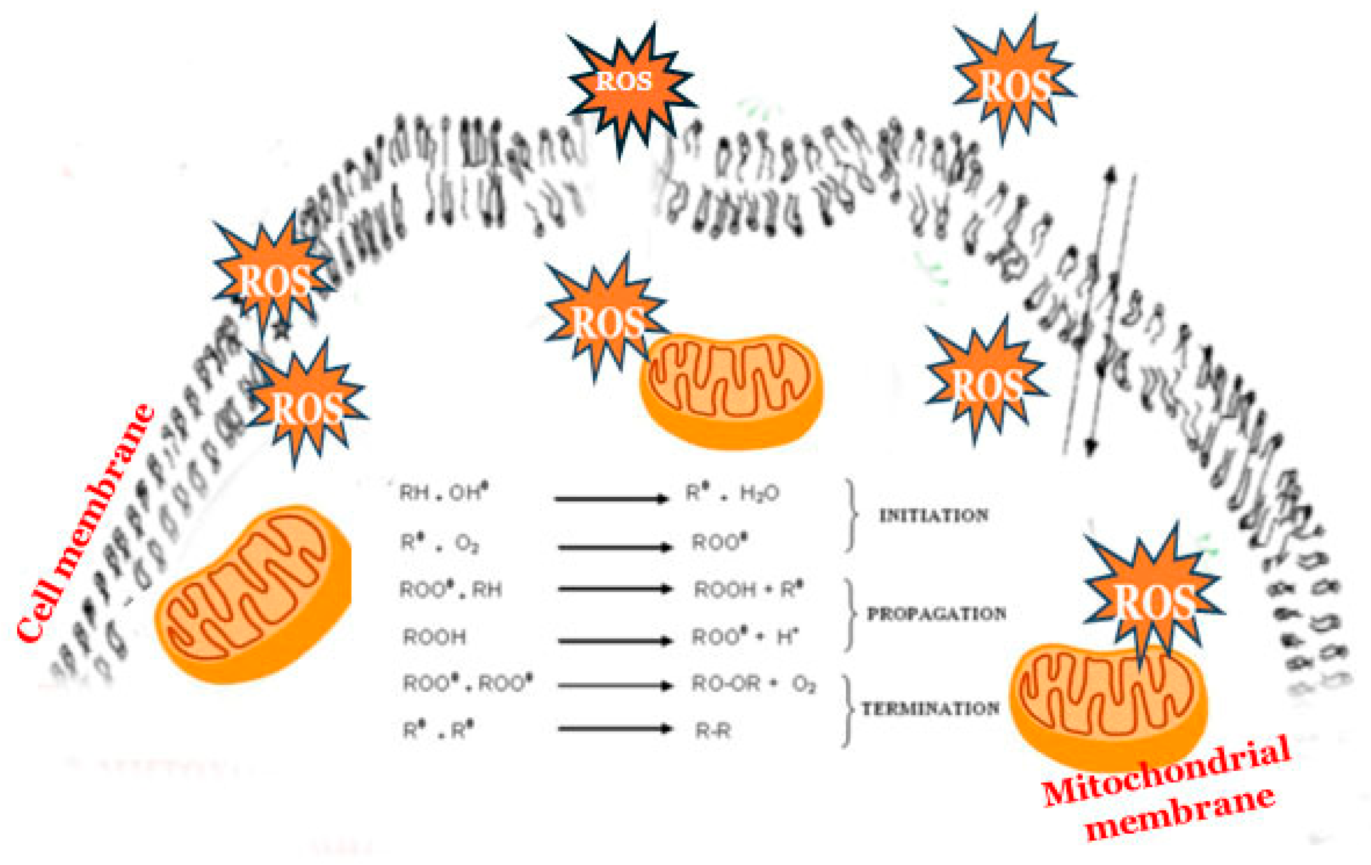 Applsci 15 05149 g005