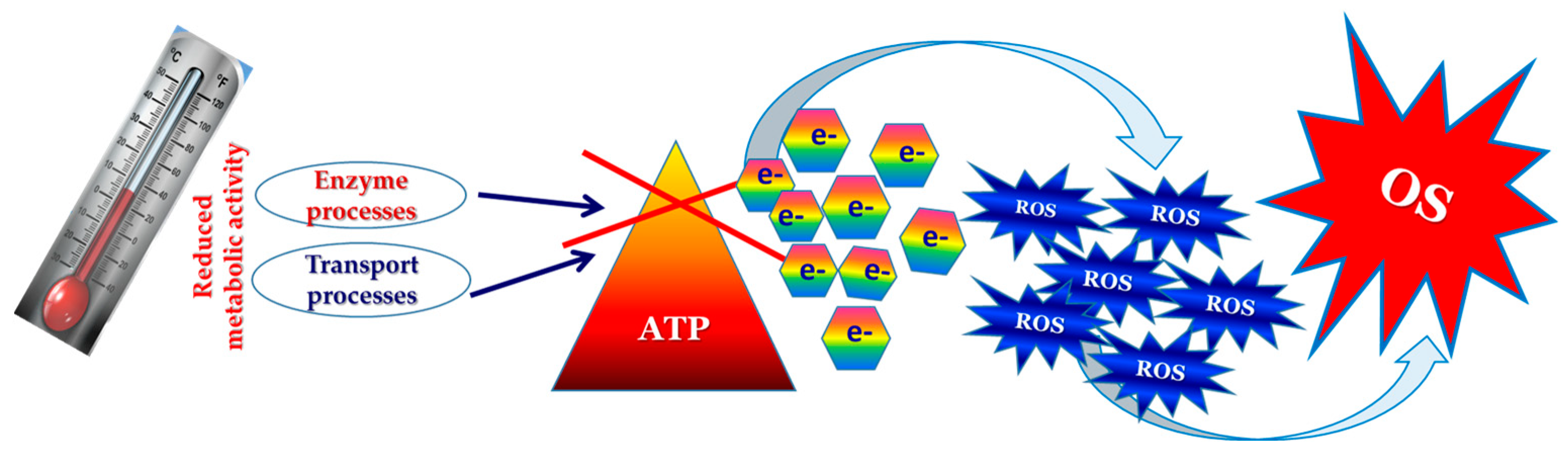 Applsci 15 05149 g008