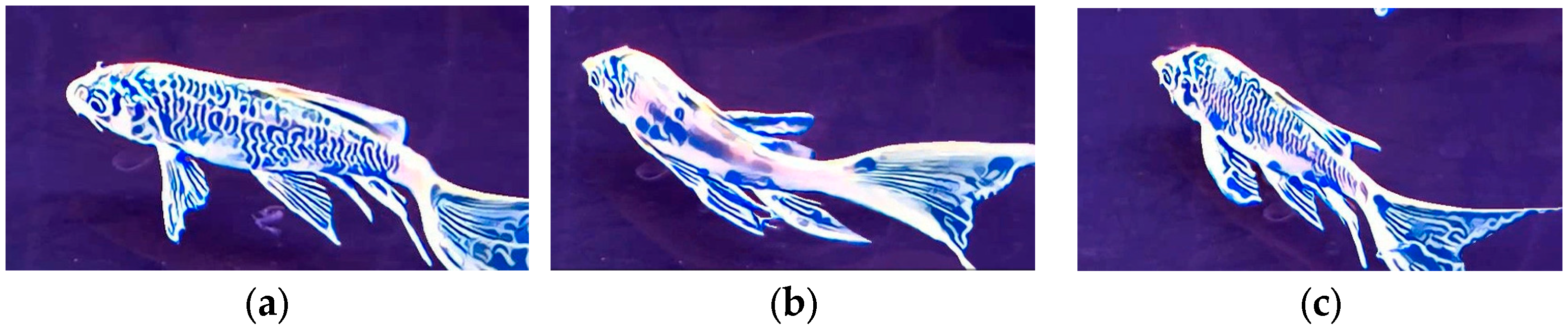 Applsci 15 05150 g011