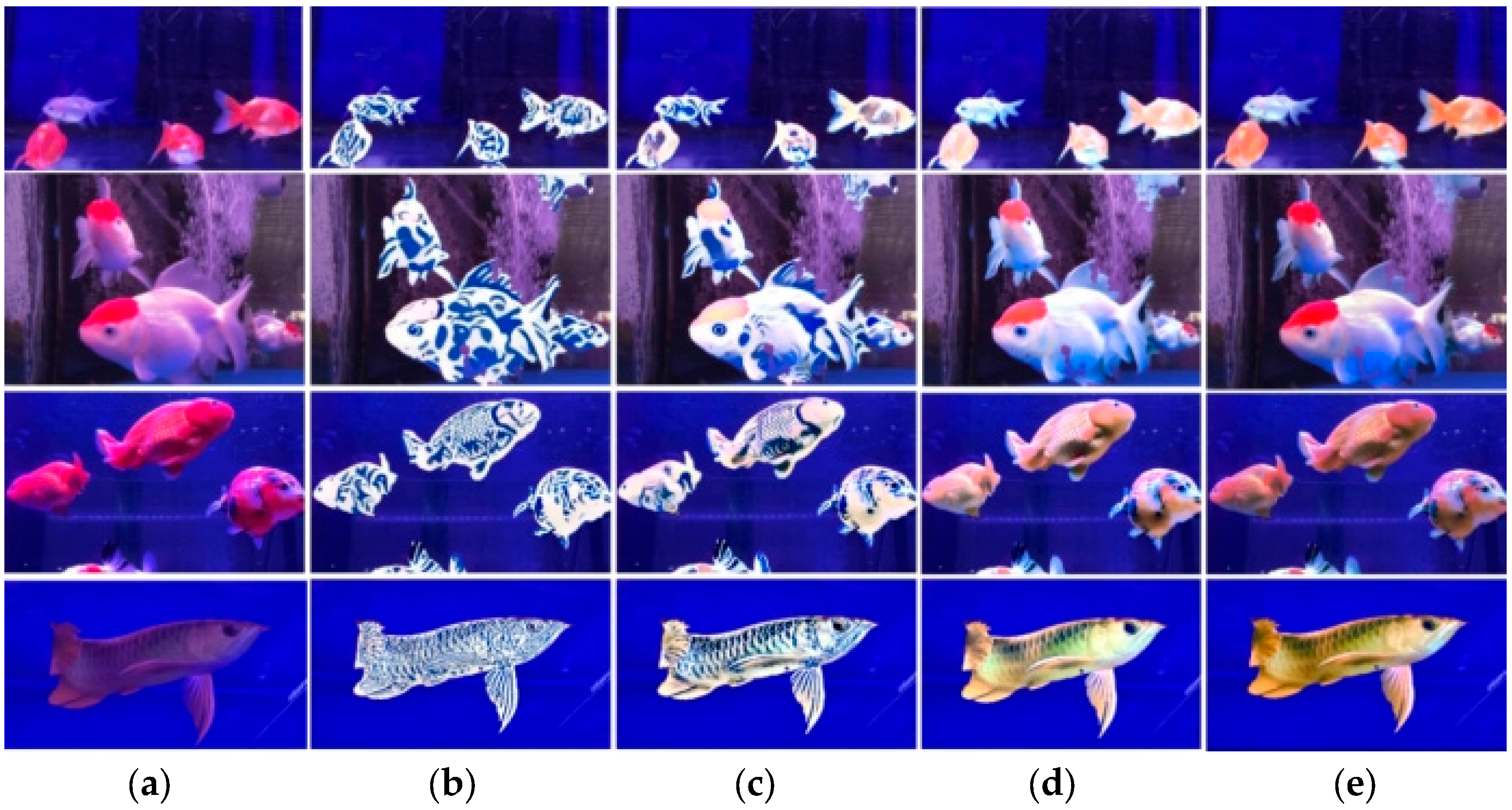 Applsci 15 05150 g012