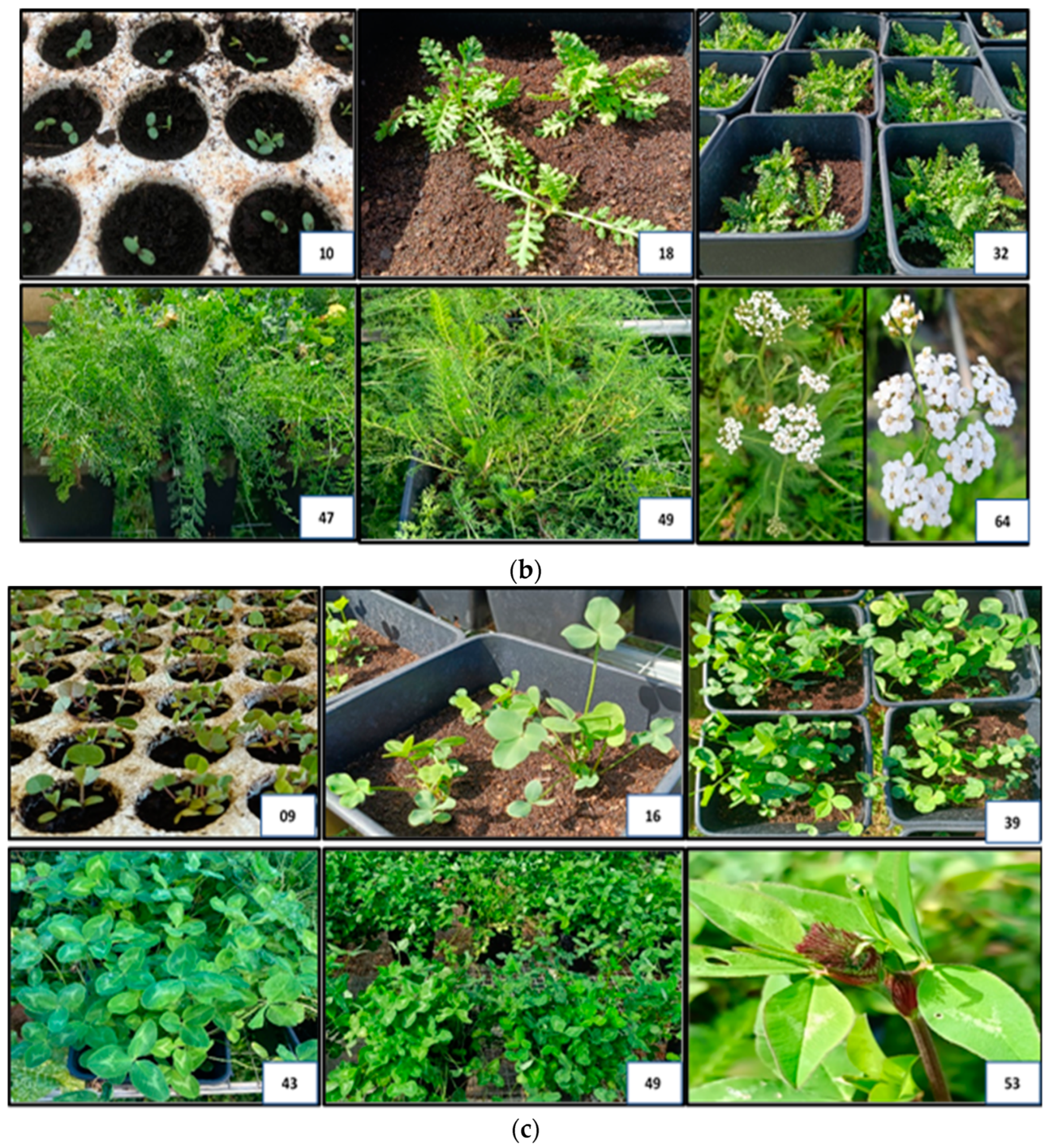 Applsci 15 05153 g002b