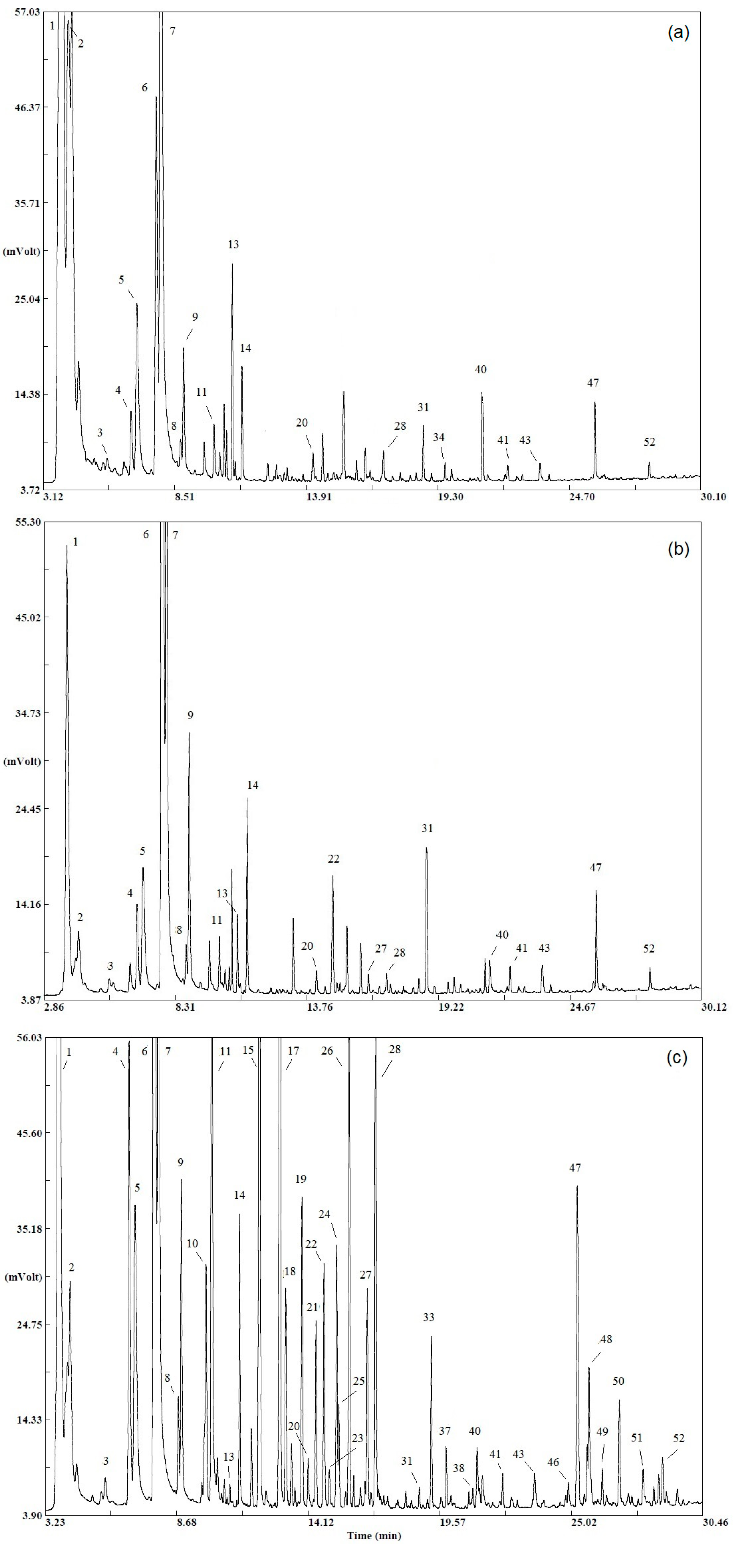 Applsci 15 05156 g001