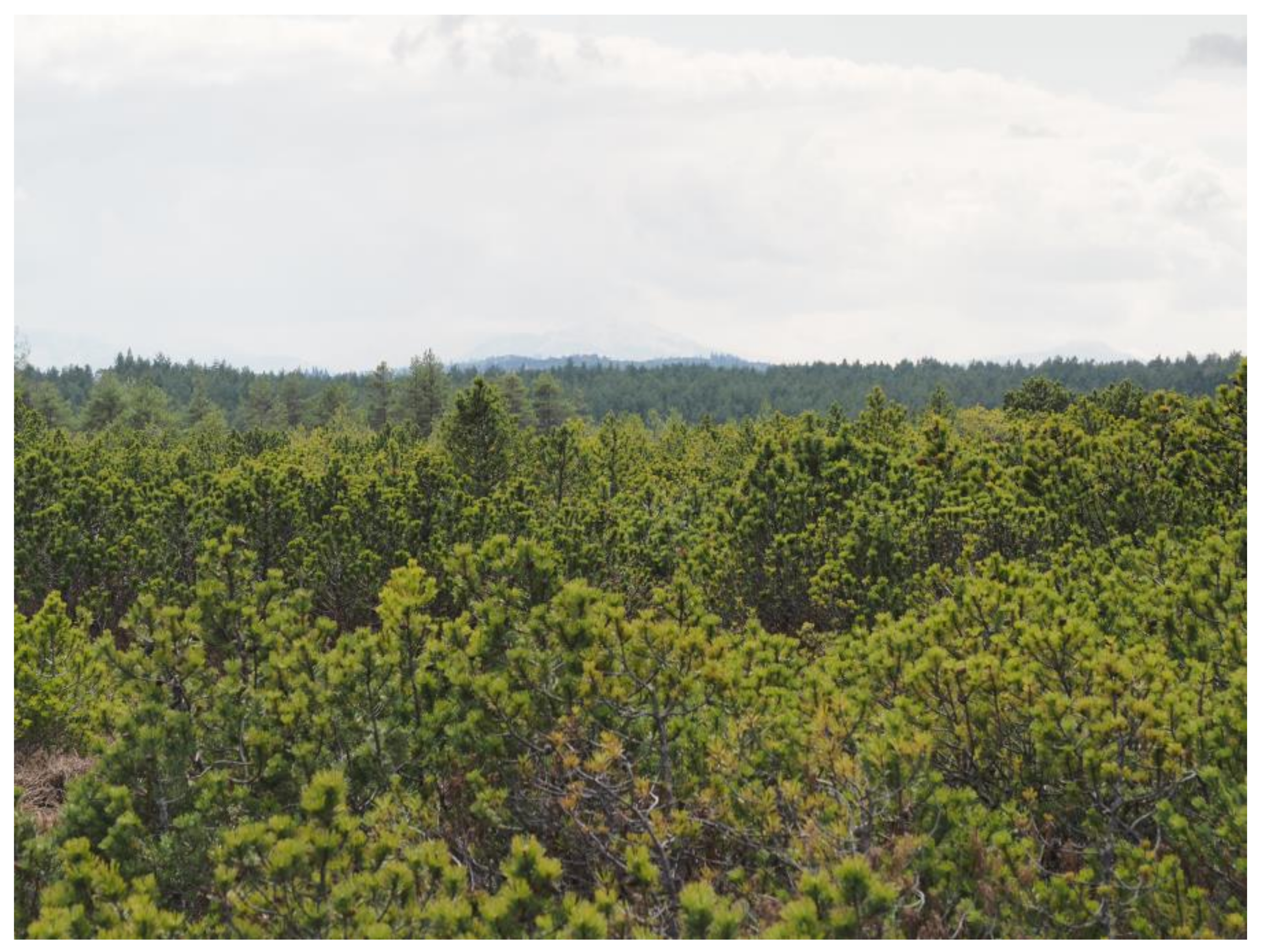 Applsci 15 05172 g002